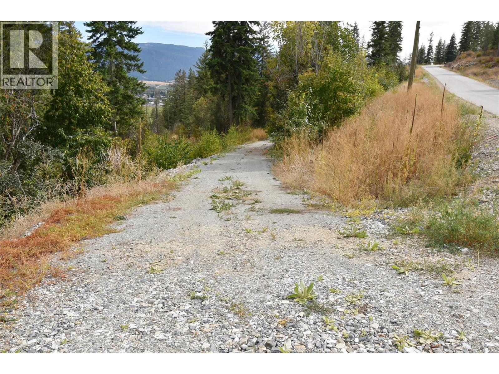249 Crooked Pine Road Property Photo 4