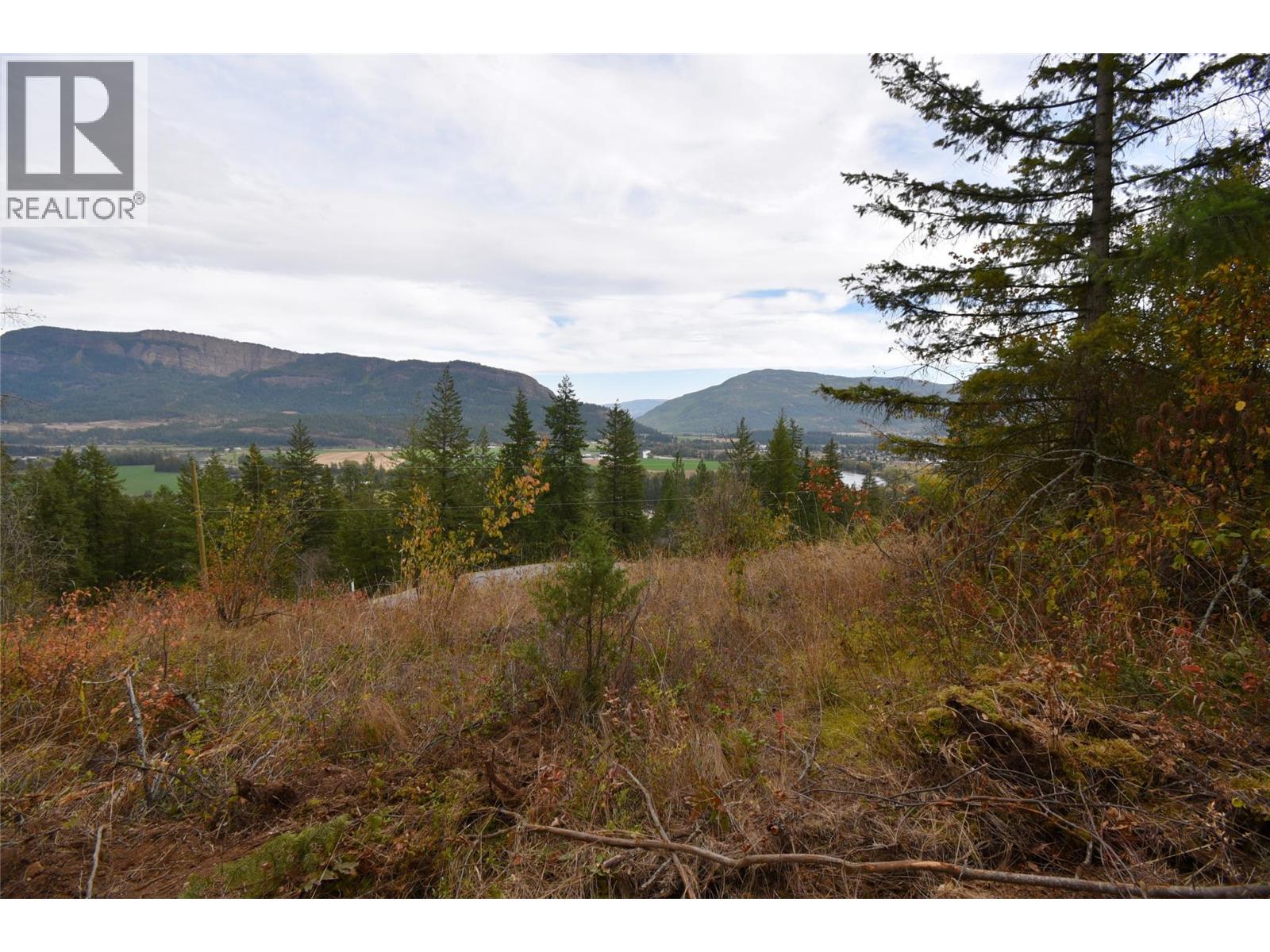 252 Crooked Pine Road Property Photo 3