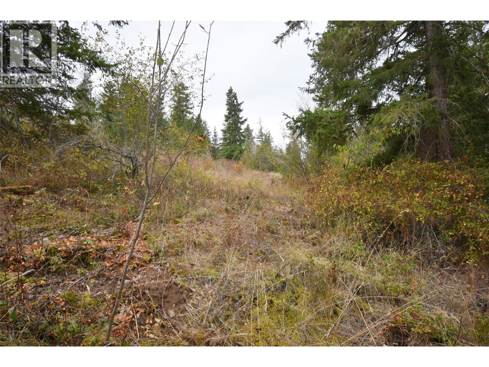 252 Crooked Pine Road Property Photo 5