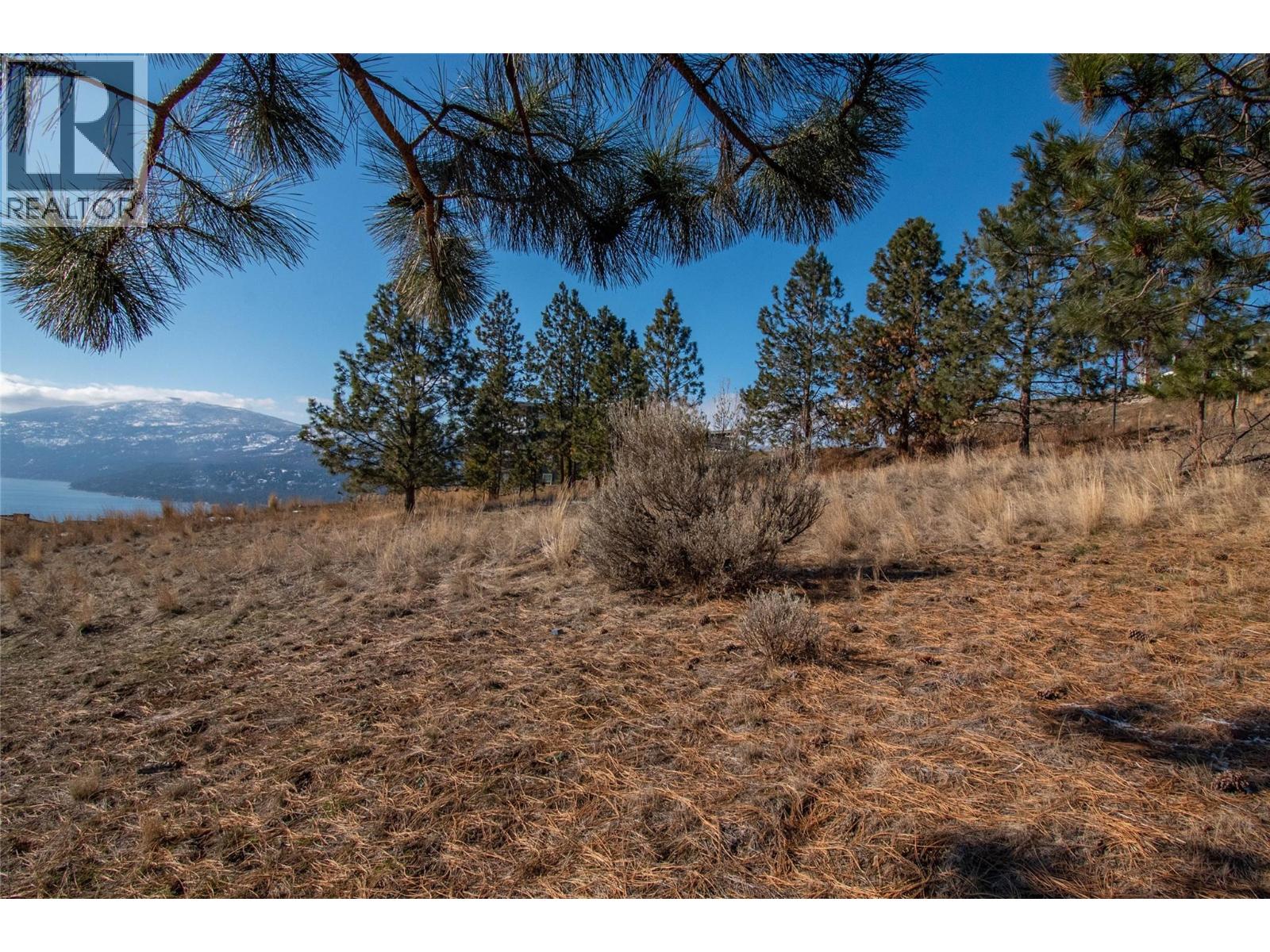 8836 Tavistock Road Property Photo 11