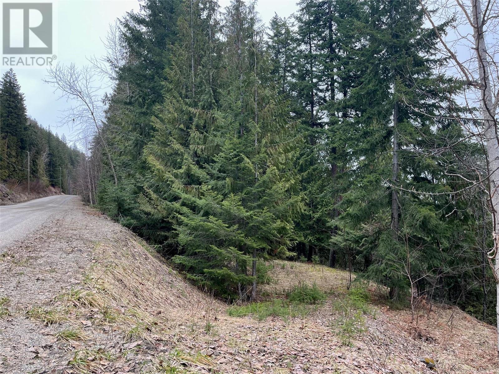 Lot 49 Castle Heights Lot# 49 Property Photo