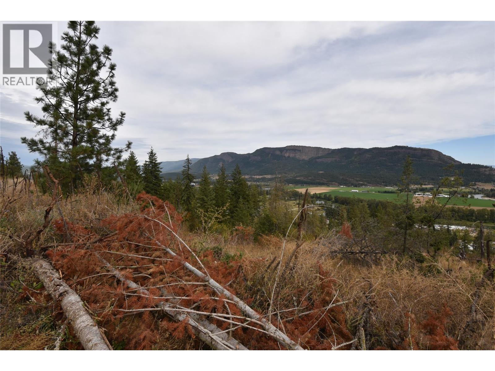231 Crooked Pine Road Property Photo 4