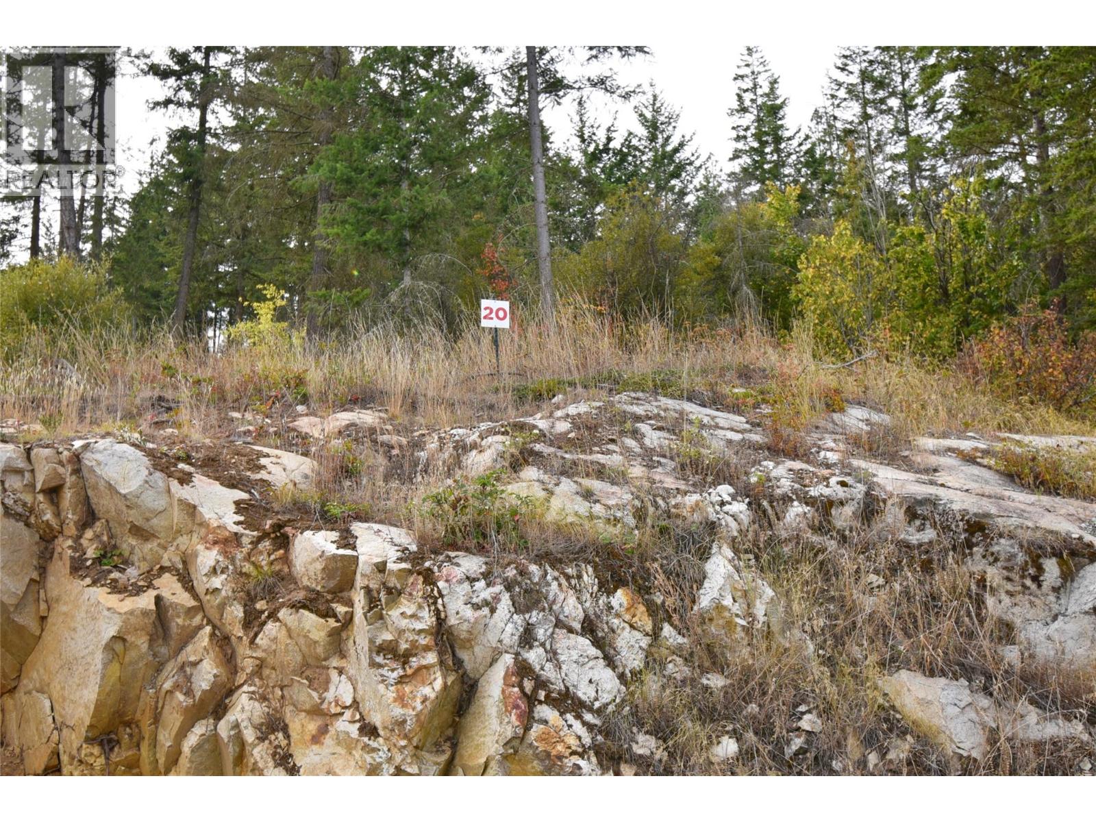 236 Crooked Pine Road Property Photo 1