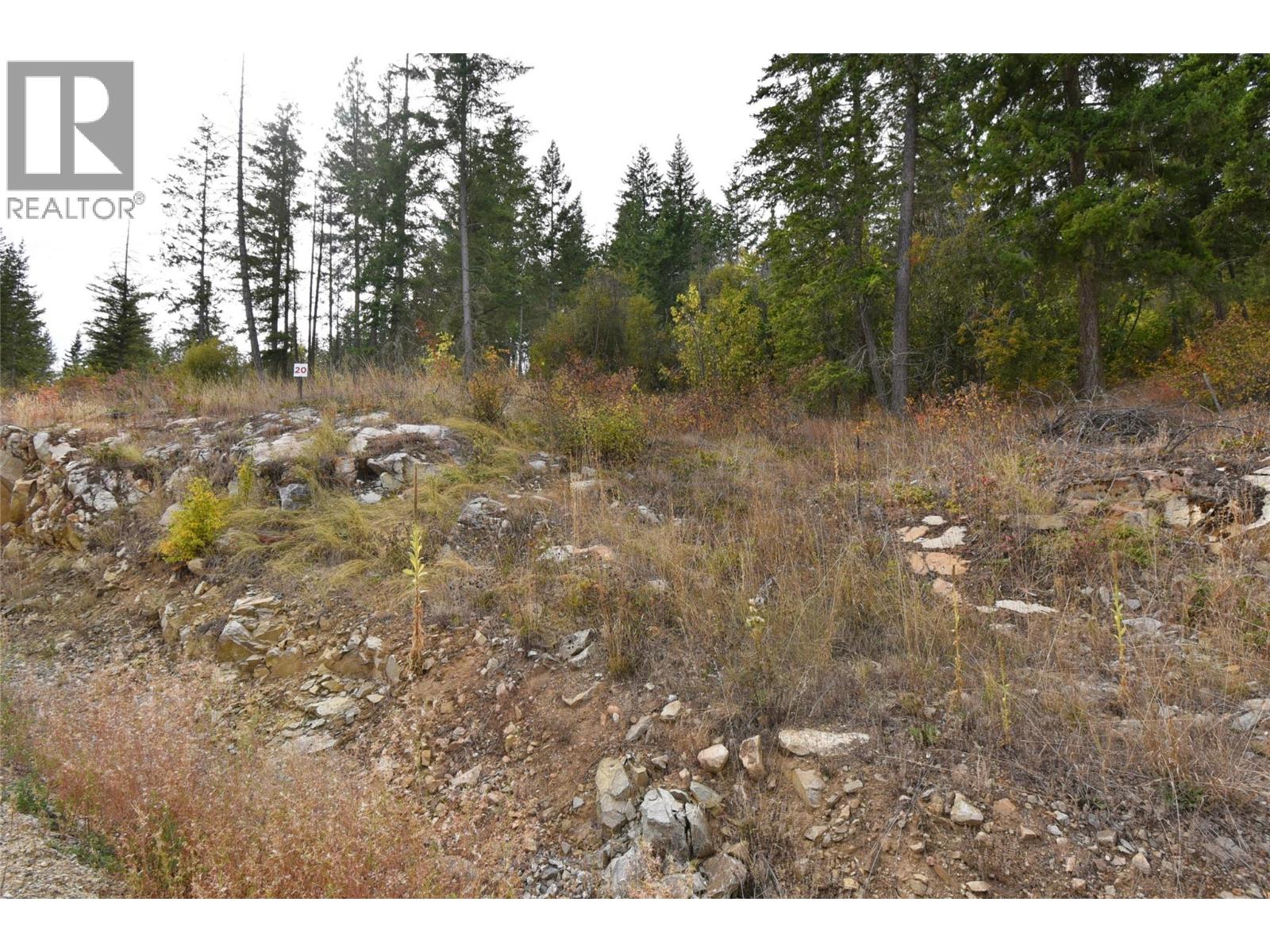 236 Crooked Pine Road Property Photo 6