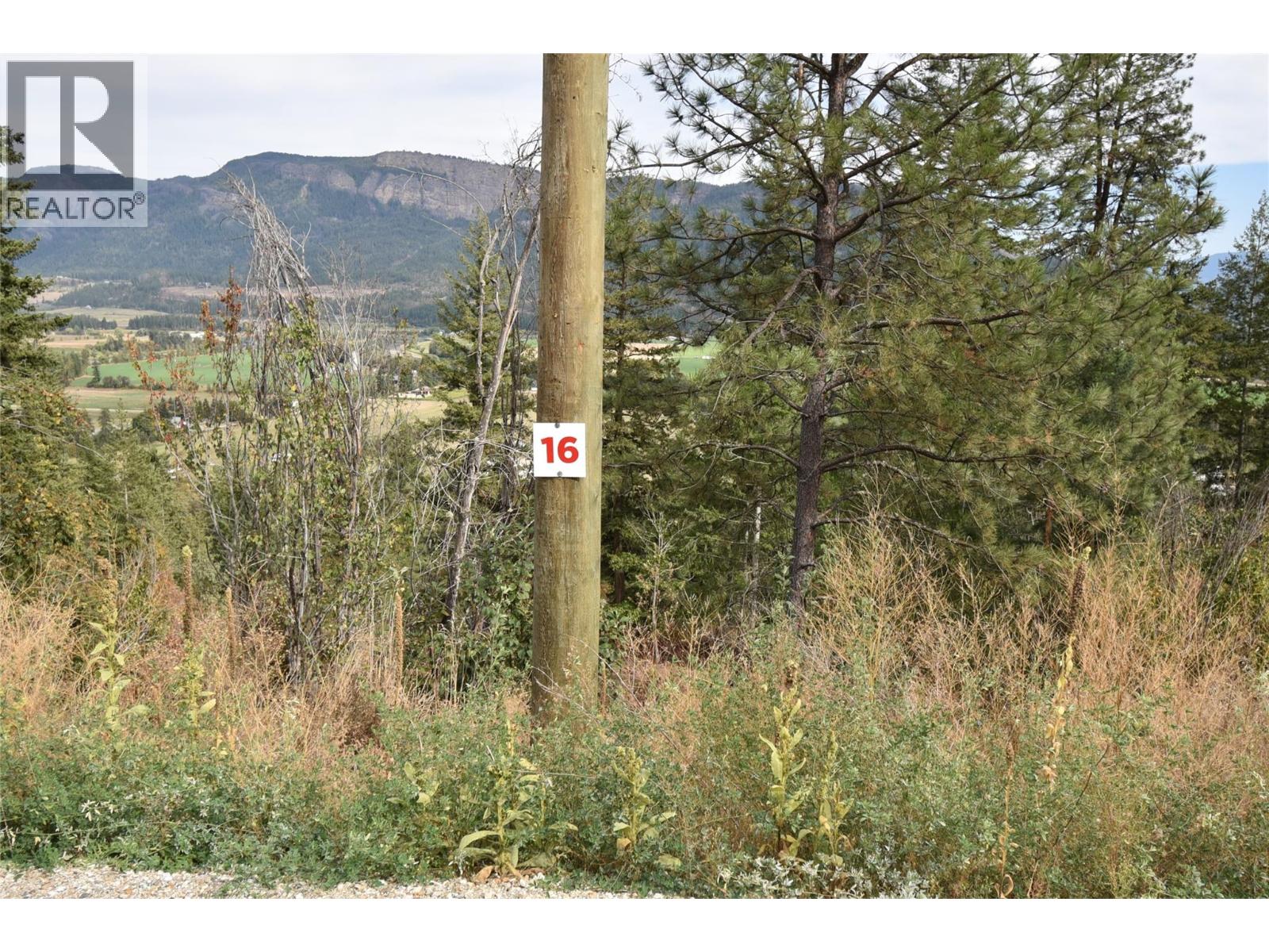 243 Crooked Pine Road Property Photo 1
