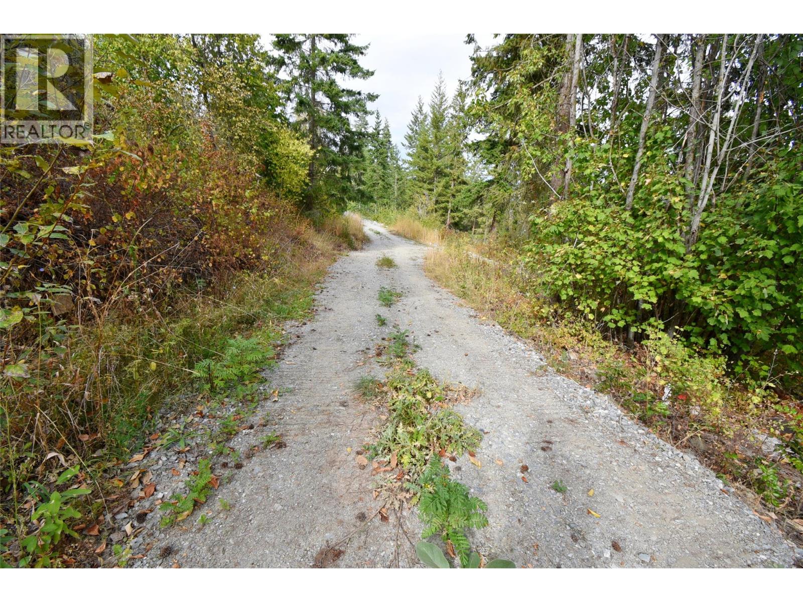 243 Crooked Pine Road Property Photo 4