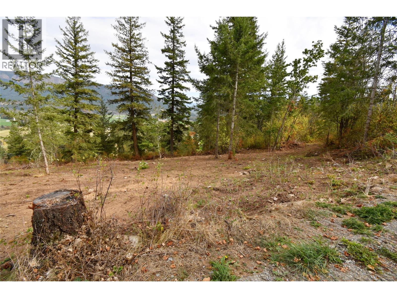 243 Crooked Pine Road Property Photo 5