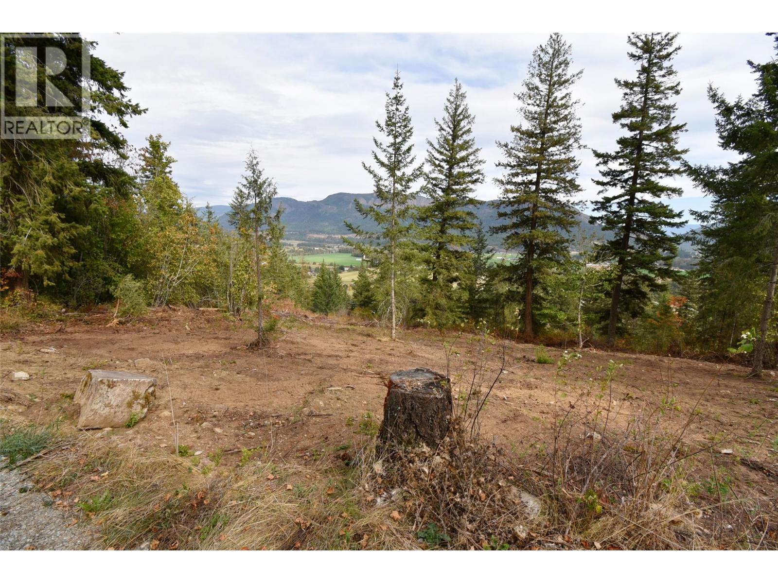 243 Crooked Pine Road Property Photo 6