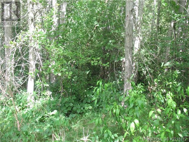 1112 Pass Creek Road Property Photo 1