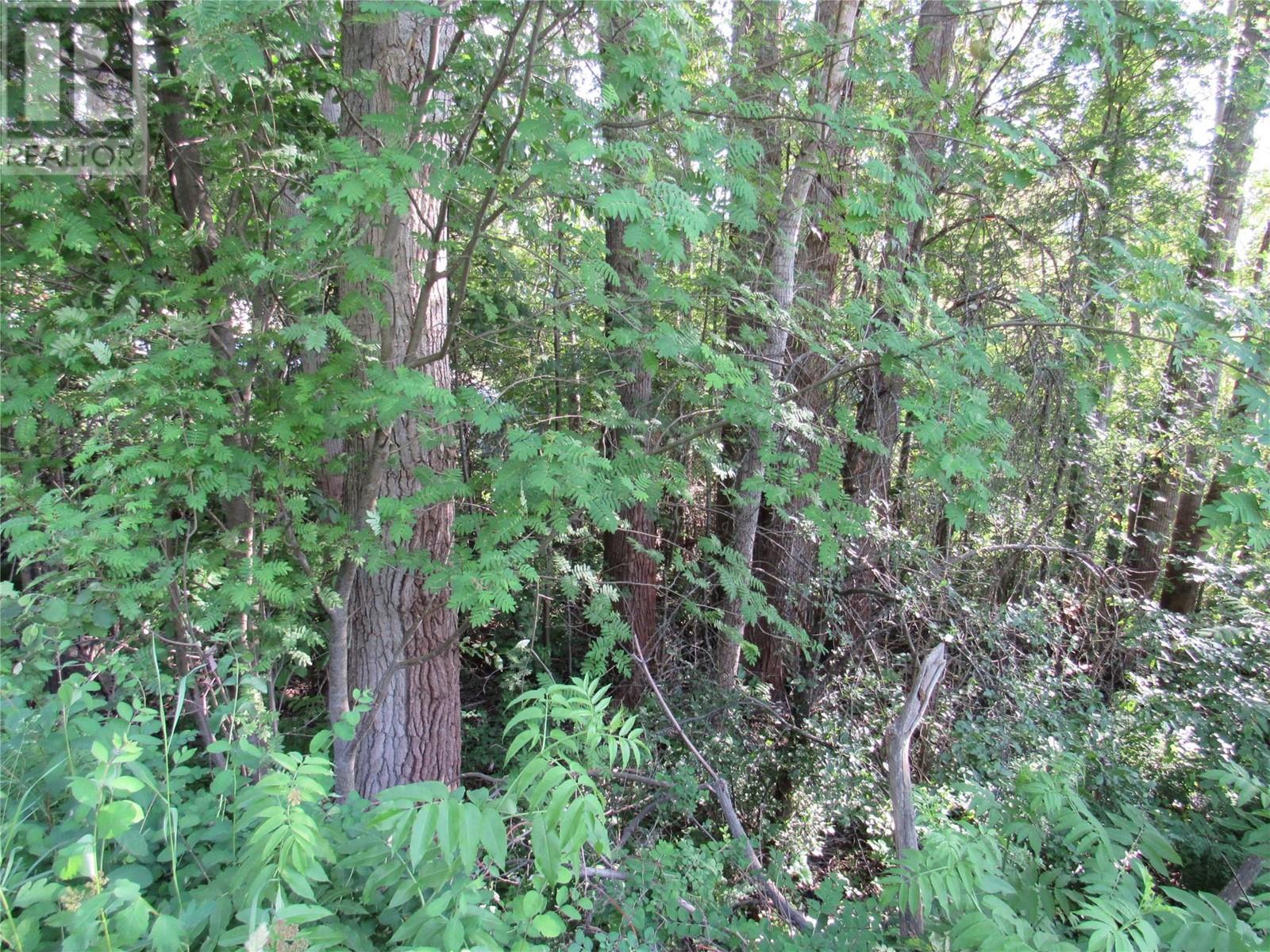 1112 Pass Creek Road Property Photo 2