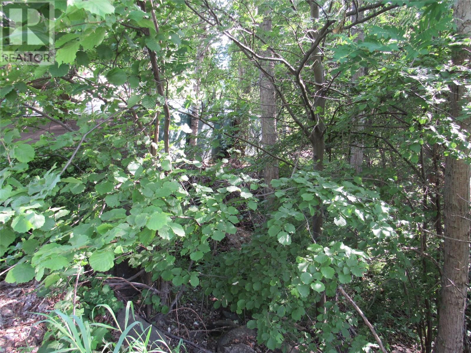 1112 Pass Creek Road Property Photo 4