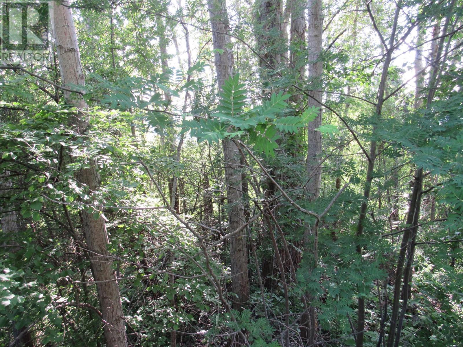 1112 Pass Creek Road Property Photo 5