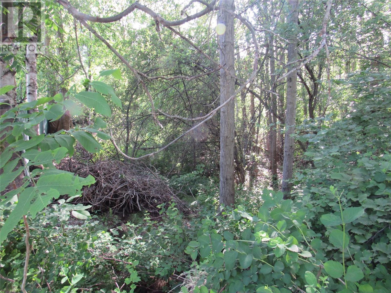 1112 Pass Creek Road Property Photo 6