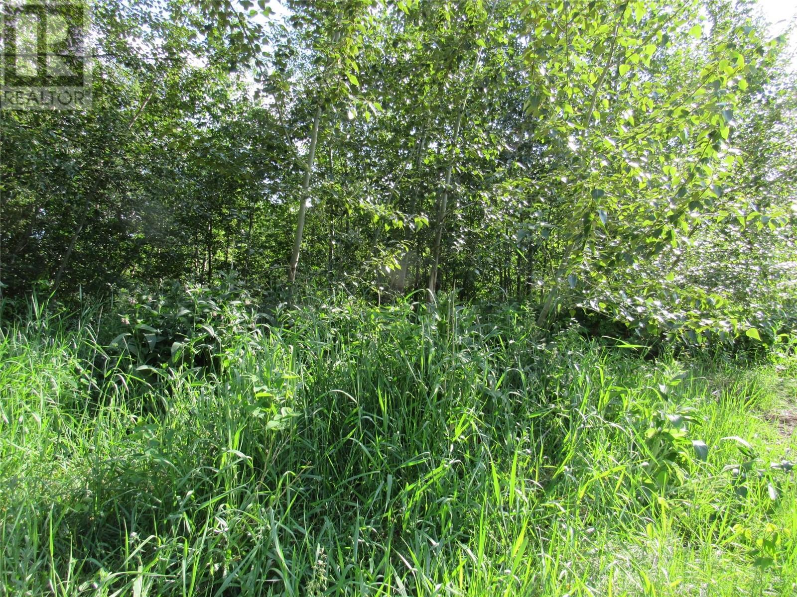 2073 Raspberry Road Property Photo 4