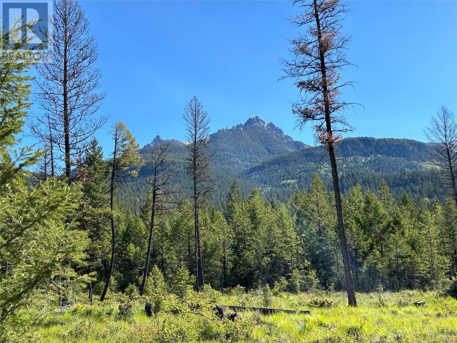 2800 WHITE RAM FOREST SERVICE Road Property Photo 1