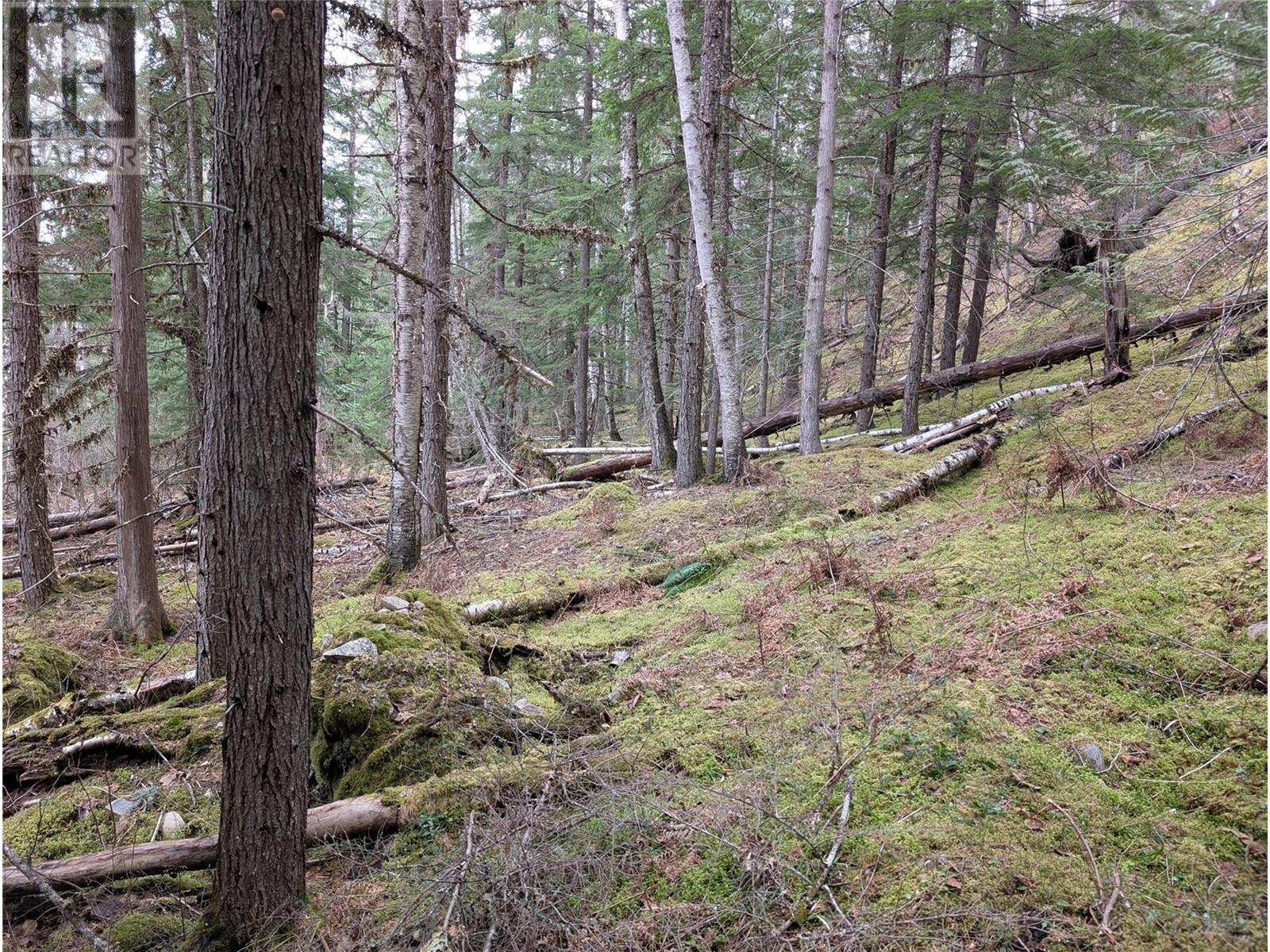 Lot 3 Ollanson Road Lot# 3 Property Photo 1