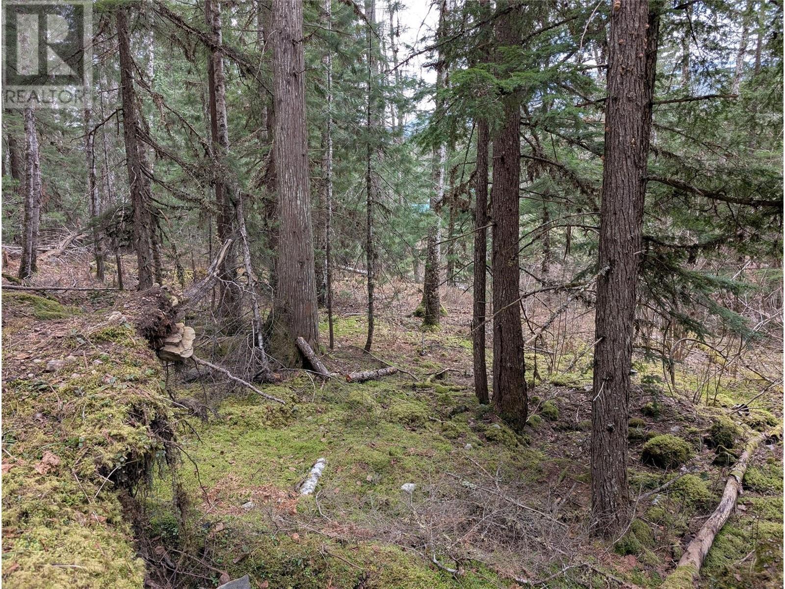 Lot 3 Ollanson Road Lot# 3 Property Photo 3