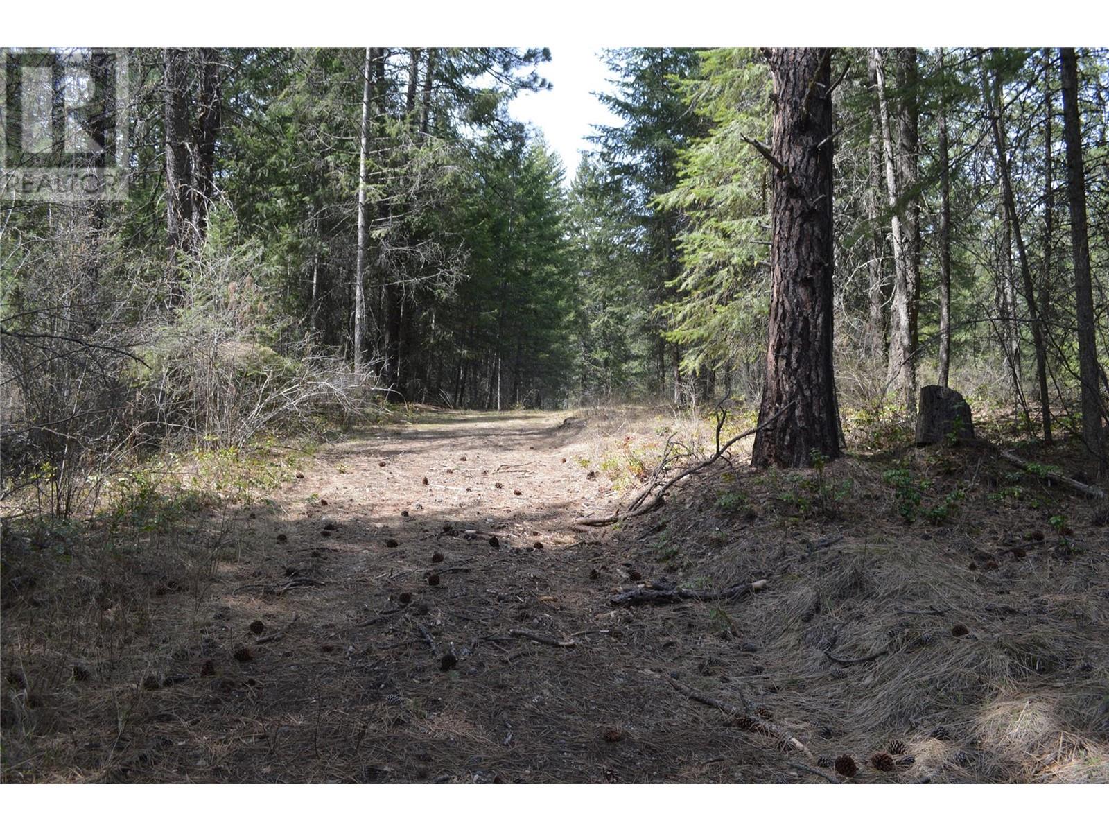 Lot 25 Ponderosa Drive Property Photo 13