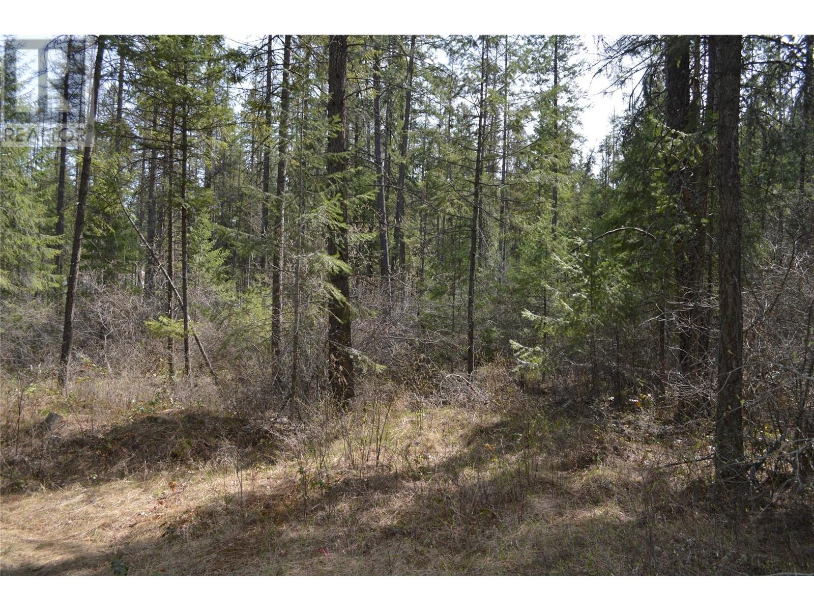 Lot 25 Ponderosa Drive Property Photo 17