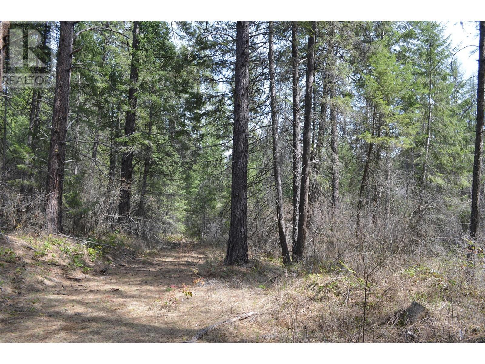 Lot 25 Ponderosa Drive Property Photo 18