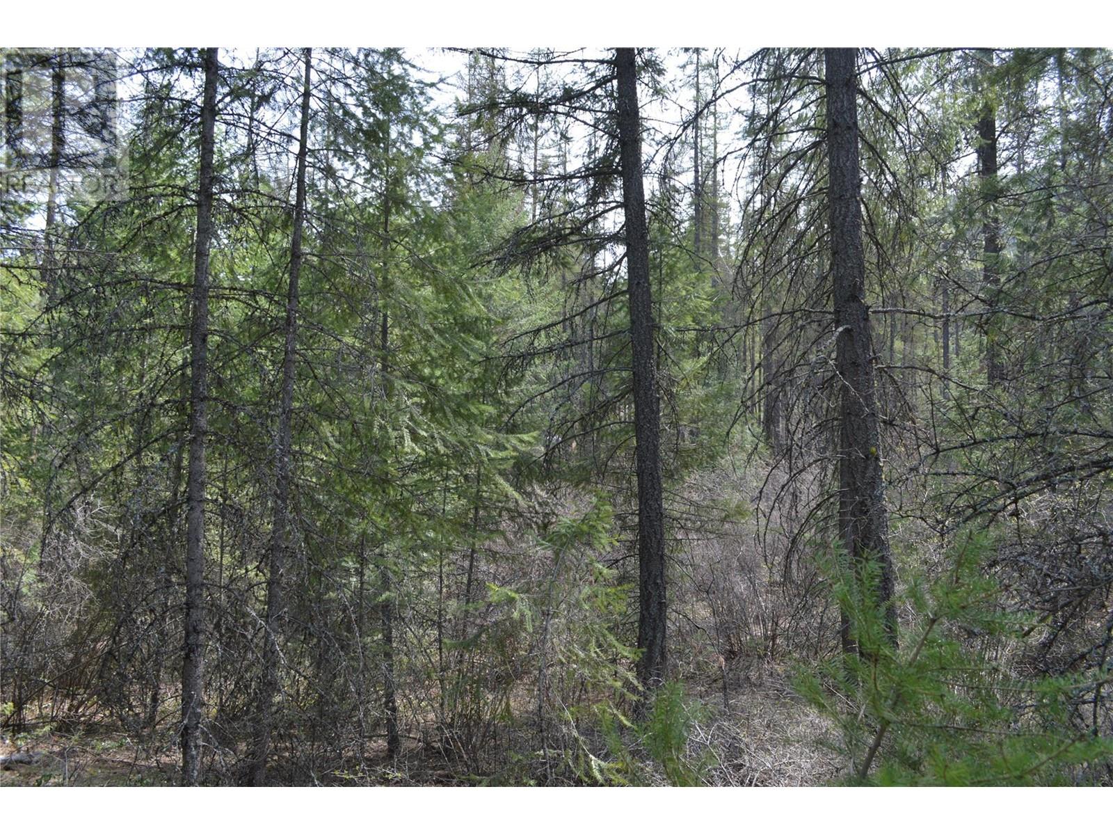 Lot 25 Ponderosa Drive Property Photo 22