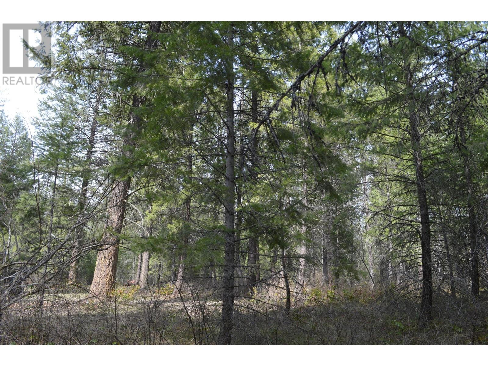 Lot 25 Ponderosa Drive Property Photo 23
