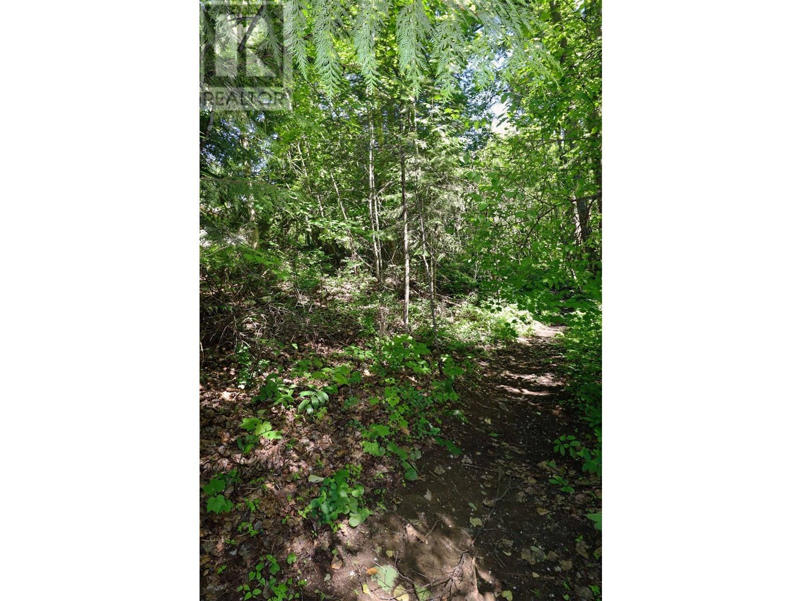 14 - 6172 Squilax Anglemont Road Property Photo 6