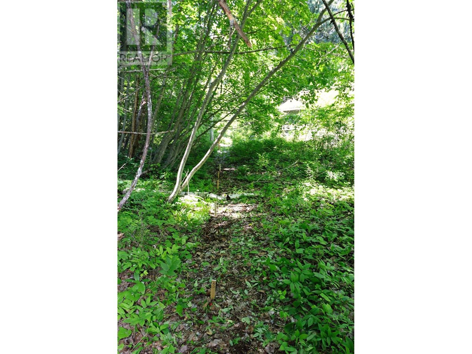14 - 6172 Squilax Anglemont Road Property Photo 11