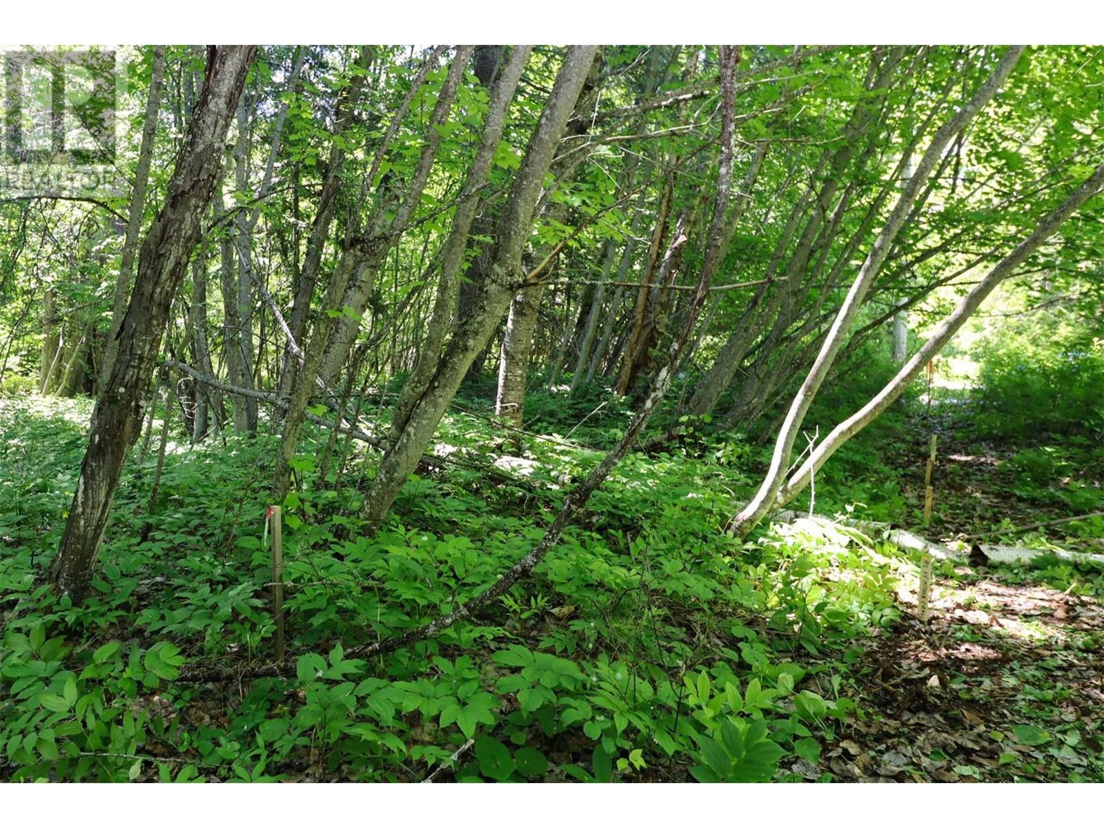 14 - 6172 Squilax Anglemont Road Property Photo 12