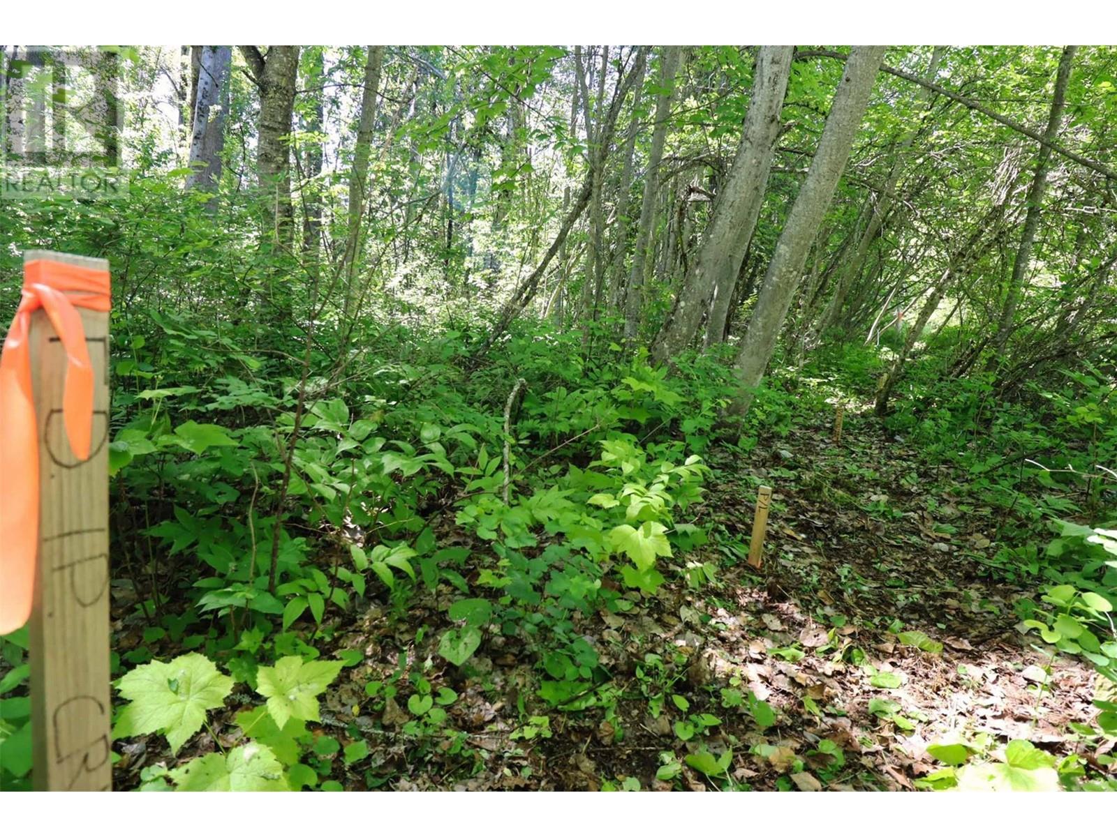 14 - 6172 Squilax Anglemont Road Property Photo 13