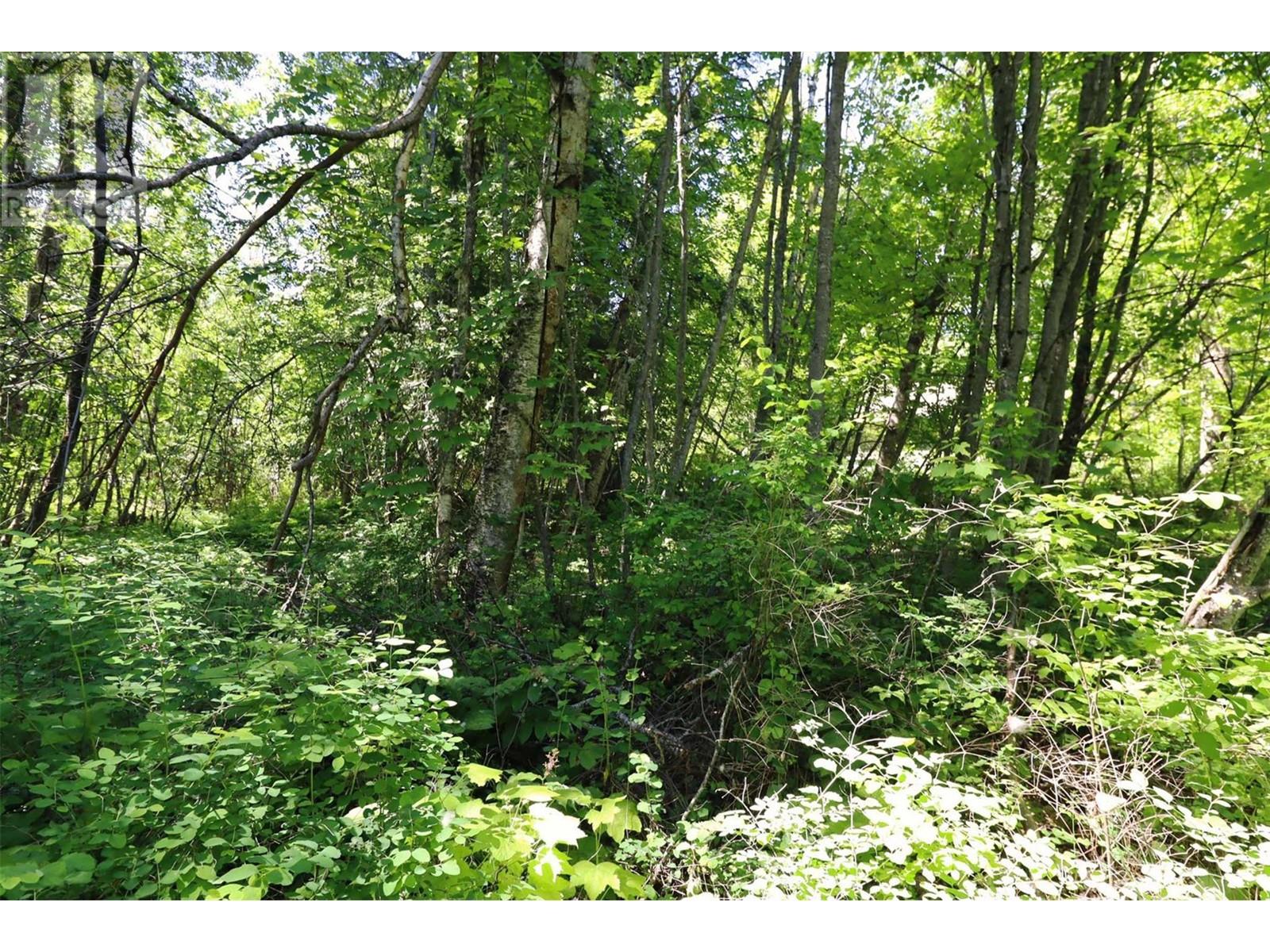 14 - 6172 Squilax Anglemont Road Property Photo 14