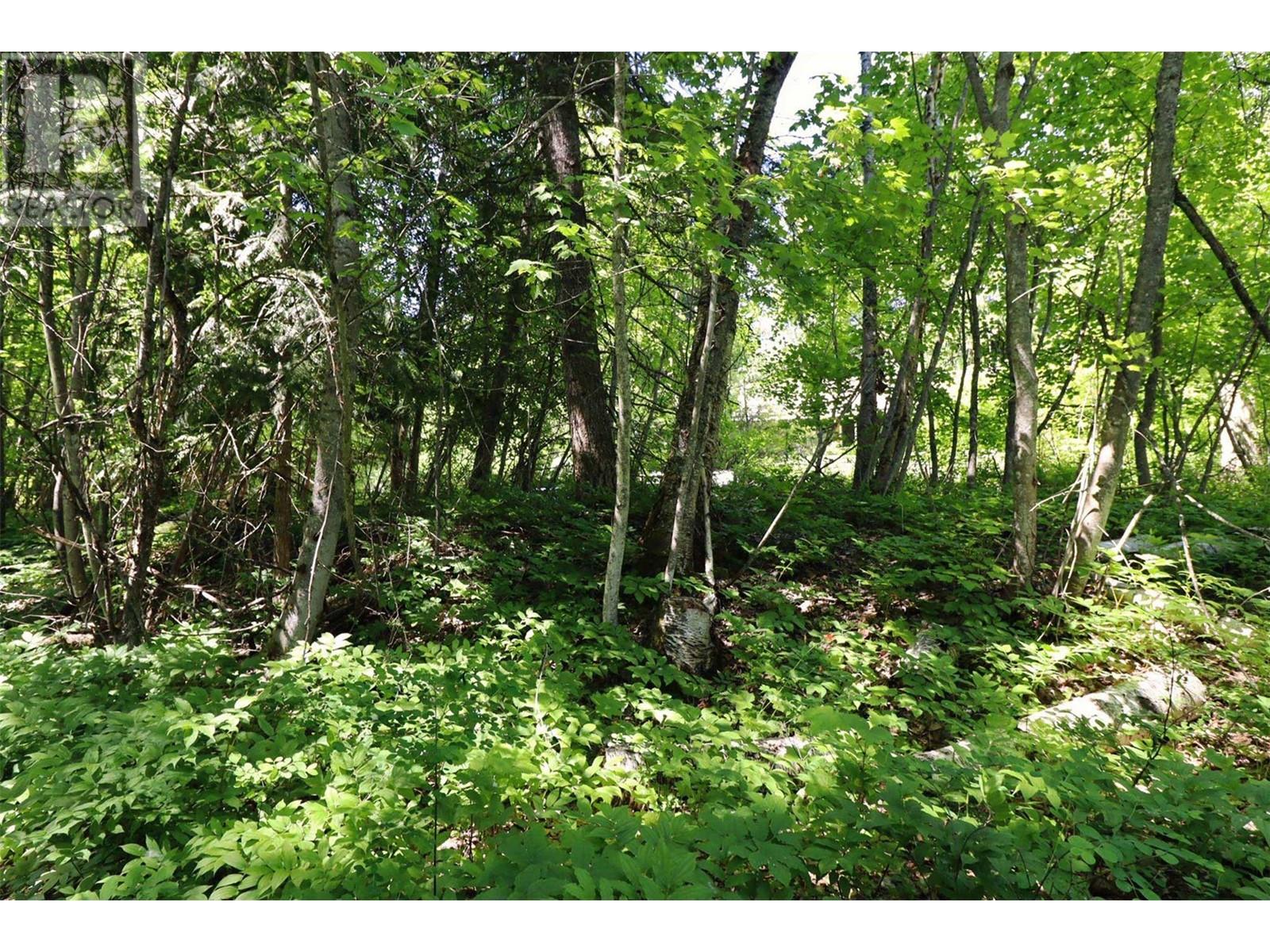 14 - 6172 Squilax Anglemont Road Property Photo 15