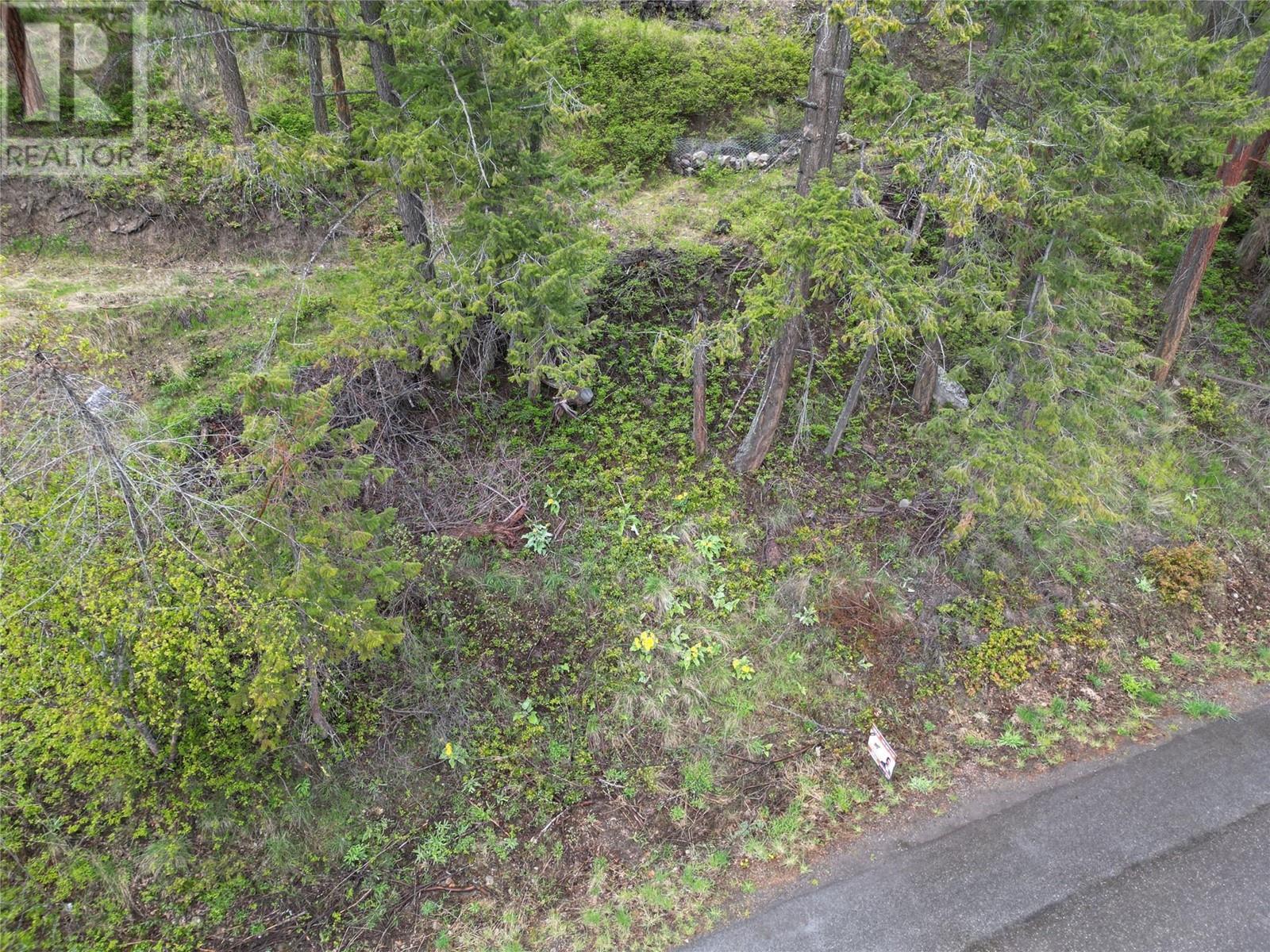 55 Winchester Road Property Photo 2