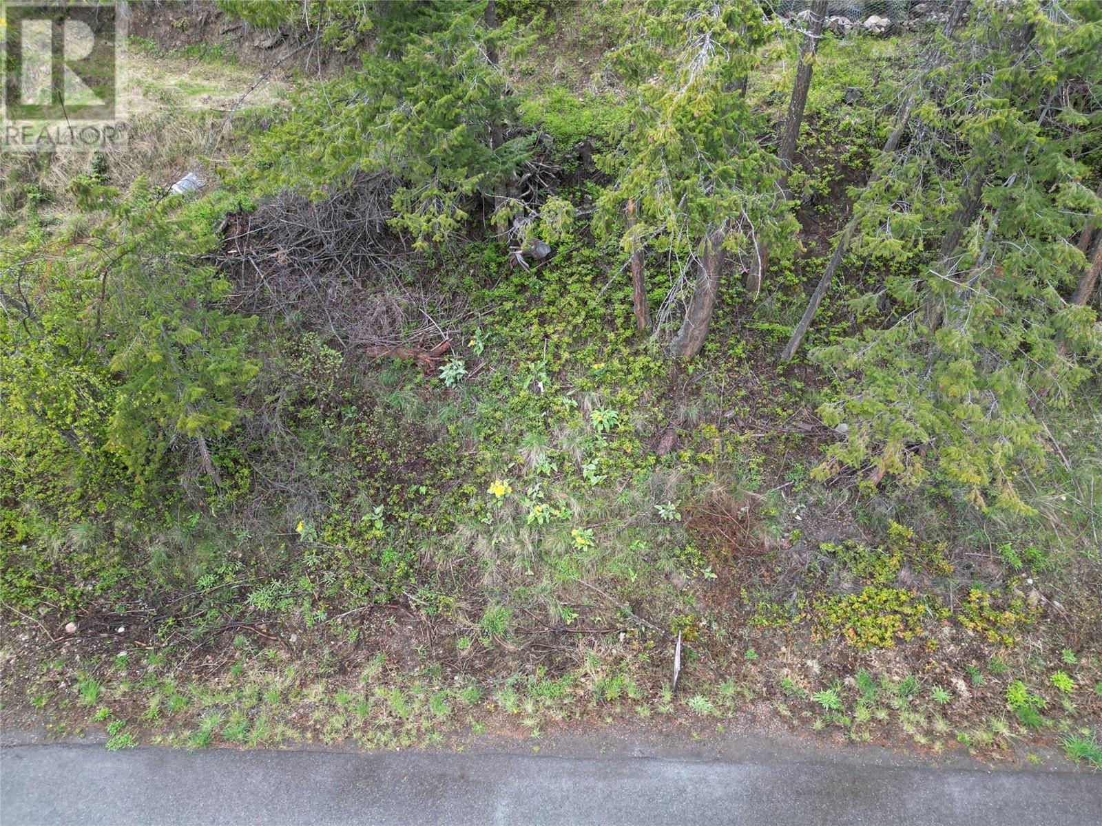 55 Winchester Road Property Photo 3