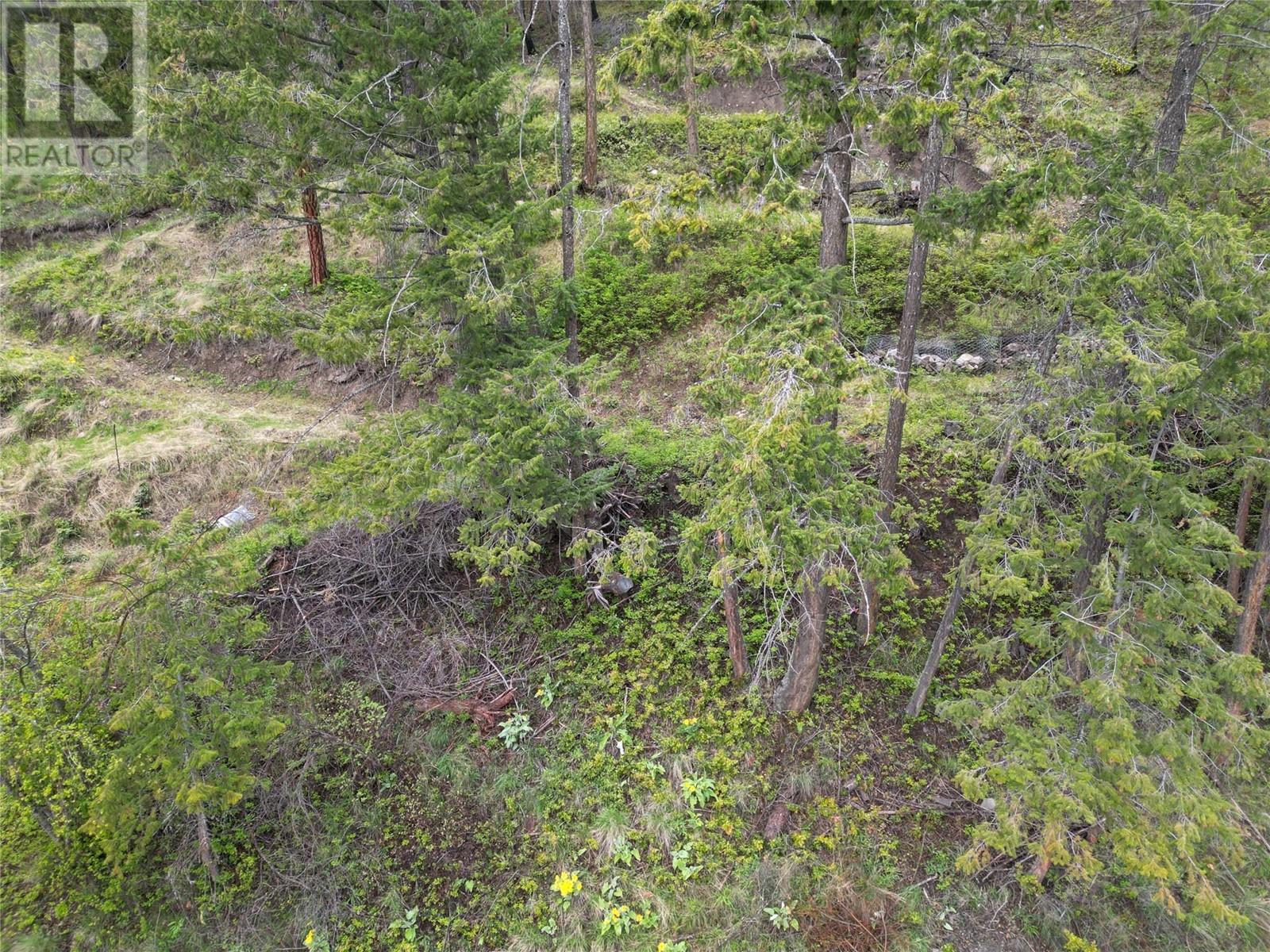55 Winchester Road Property Photo 4
