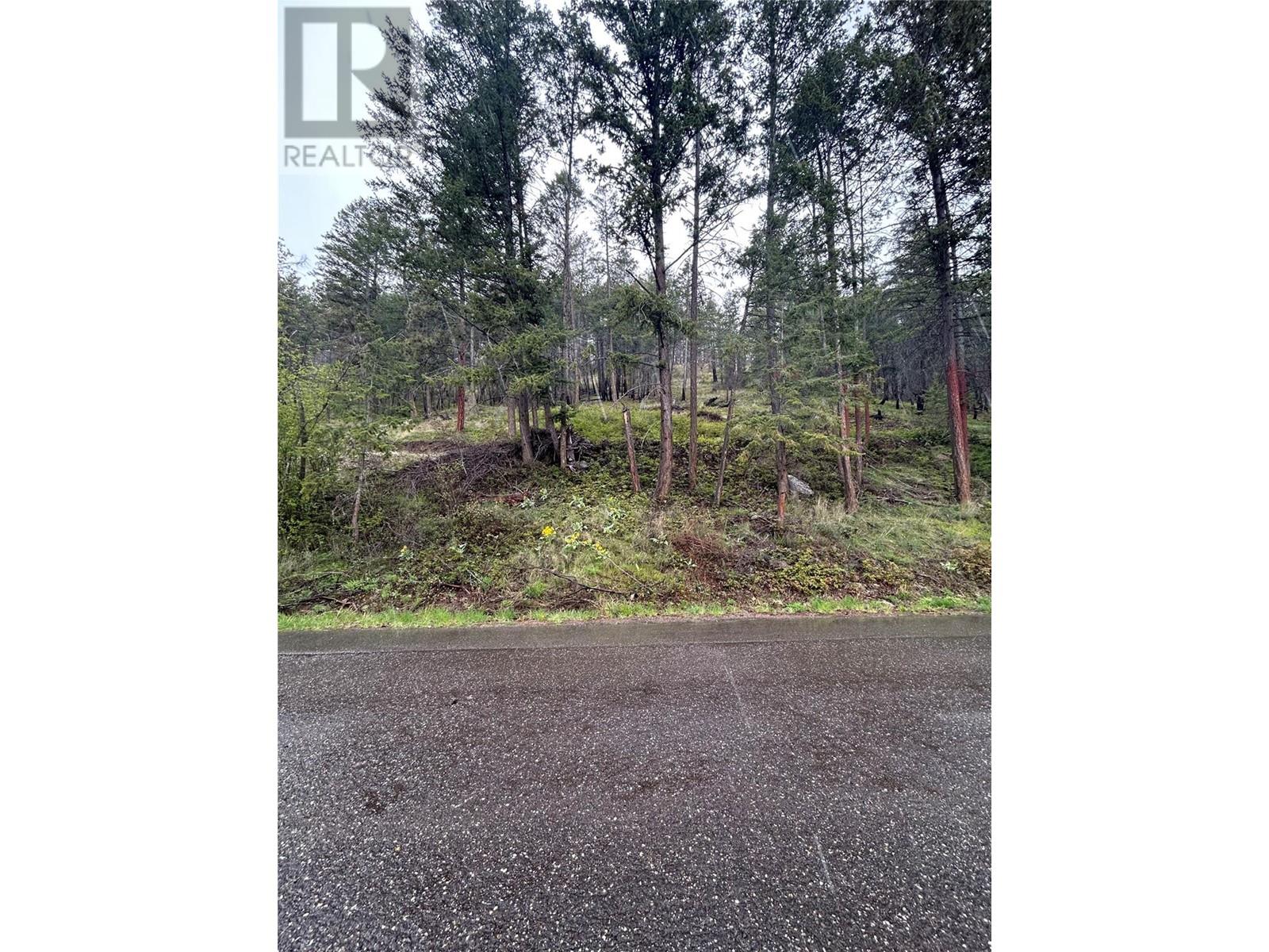 55 Winchester Road Property Photo 7