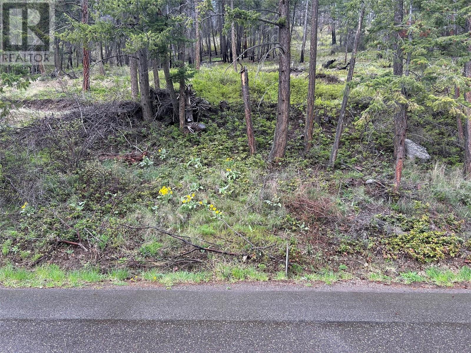 55 Winchester Road Property Photo 8