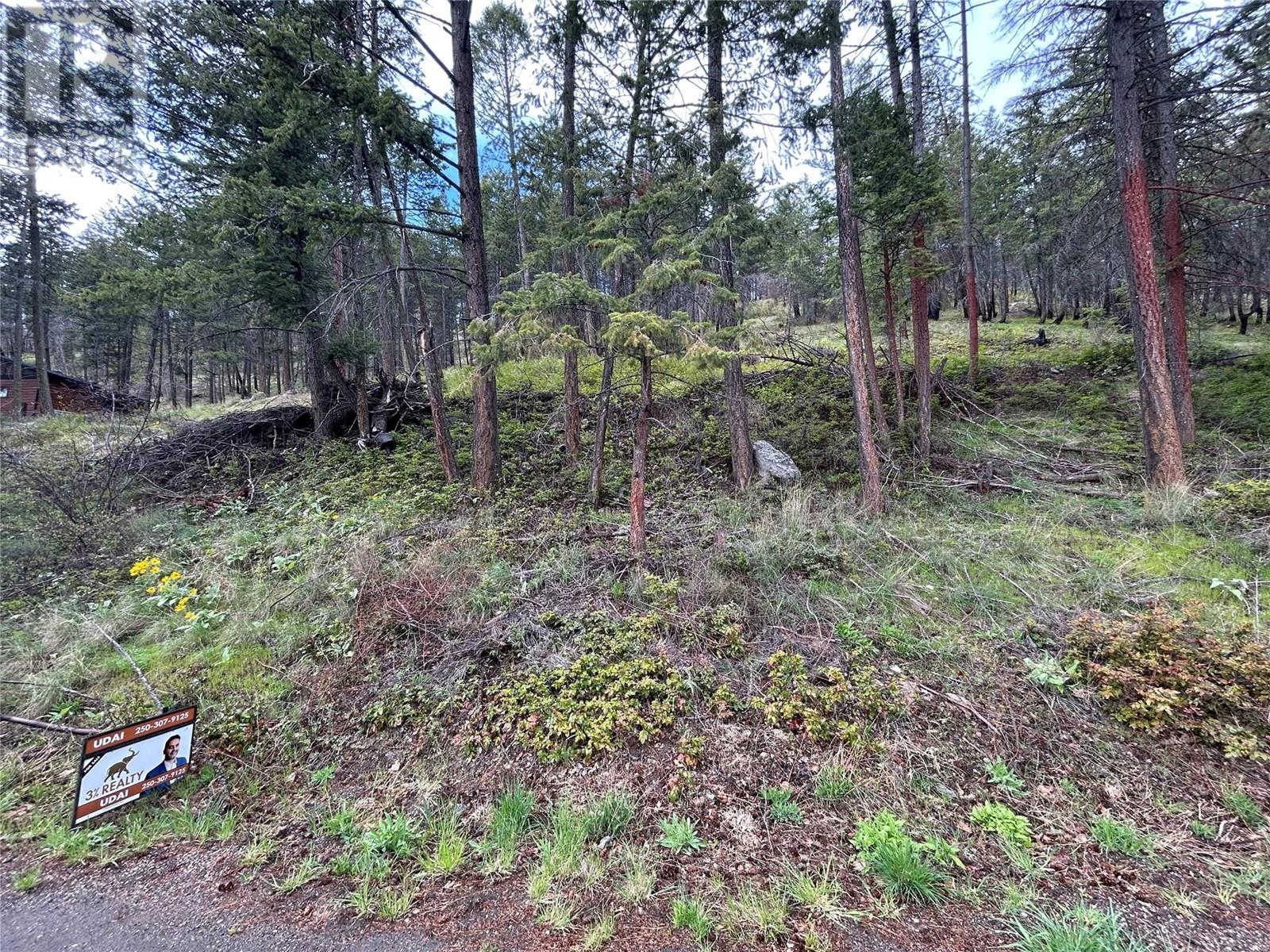 55 Winchester Road Property Photo 12