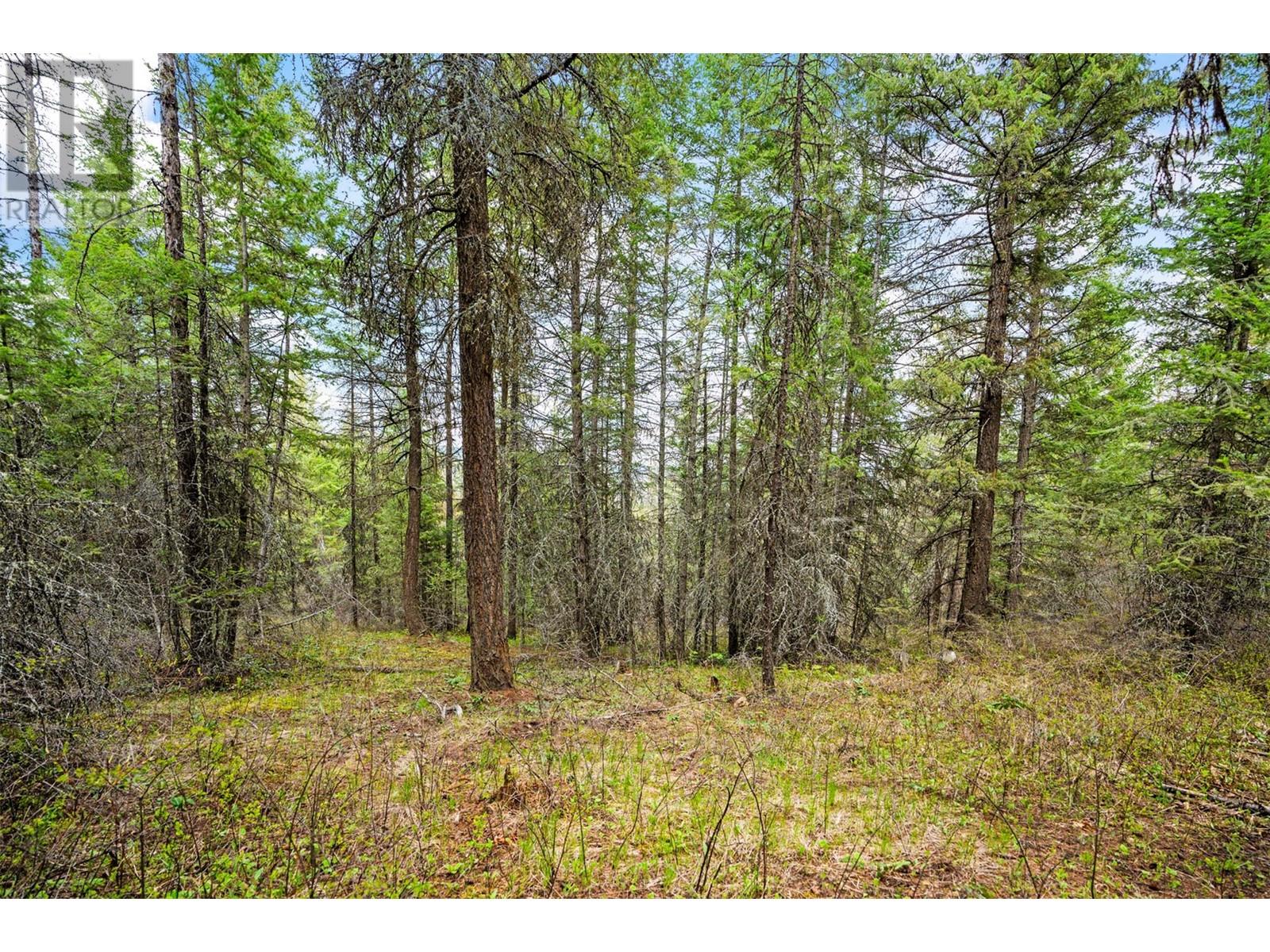 121 Bluenose Road Property Photo 14