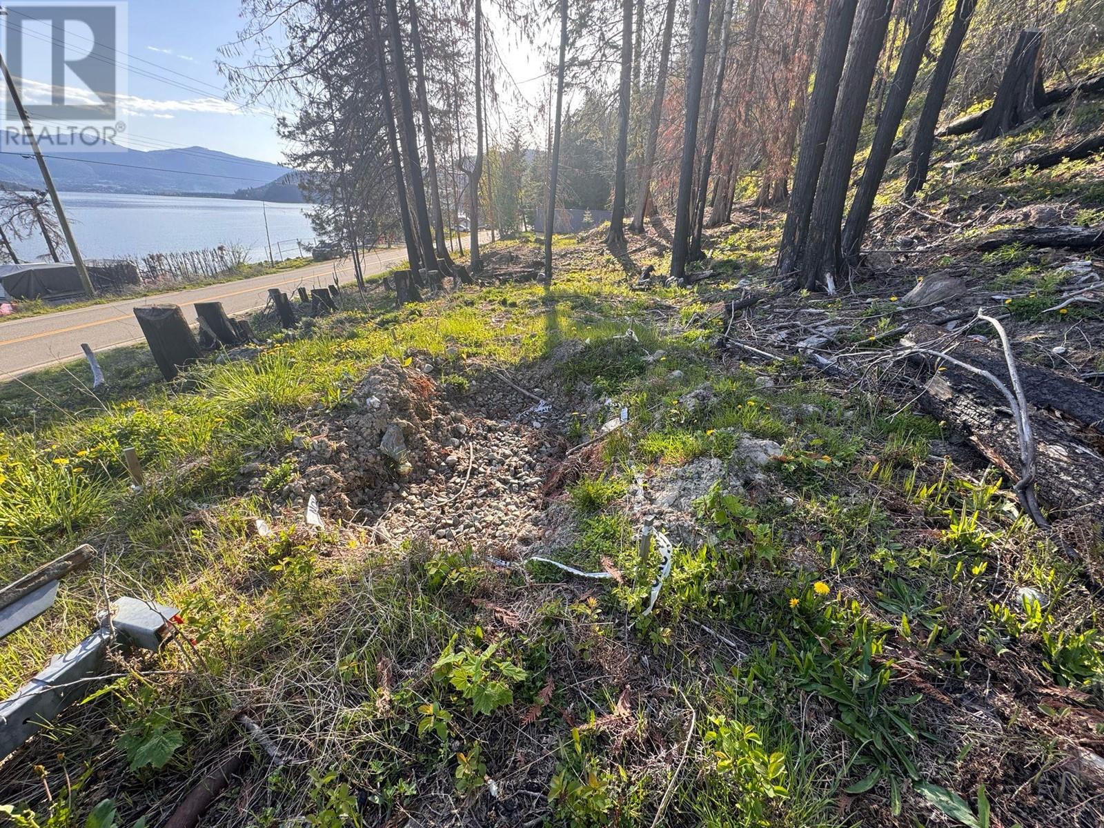 5022 Squilax-anglemont Road Property Photo 13