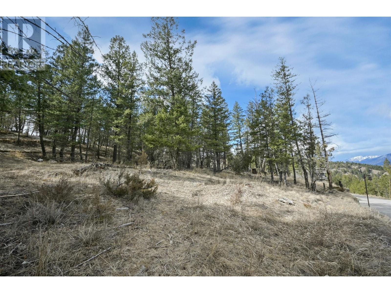 Lot 49 Pine Ridge Mountain Place Property Photo 4