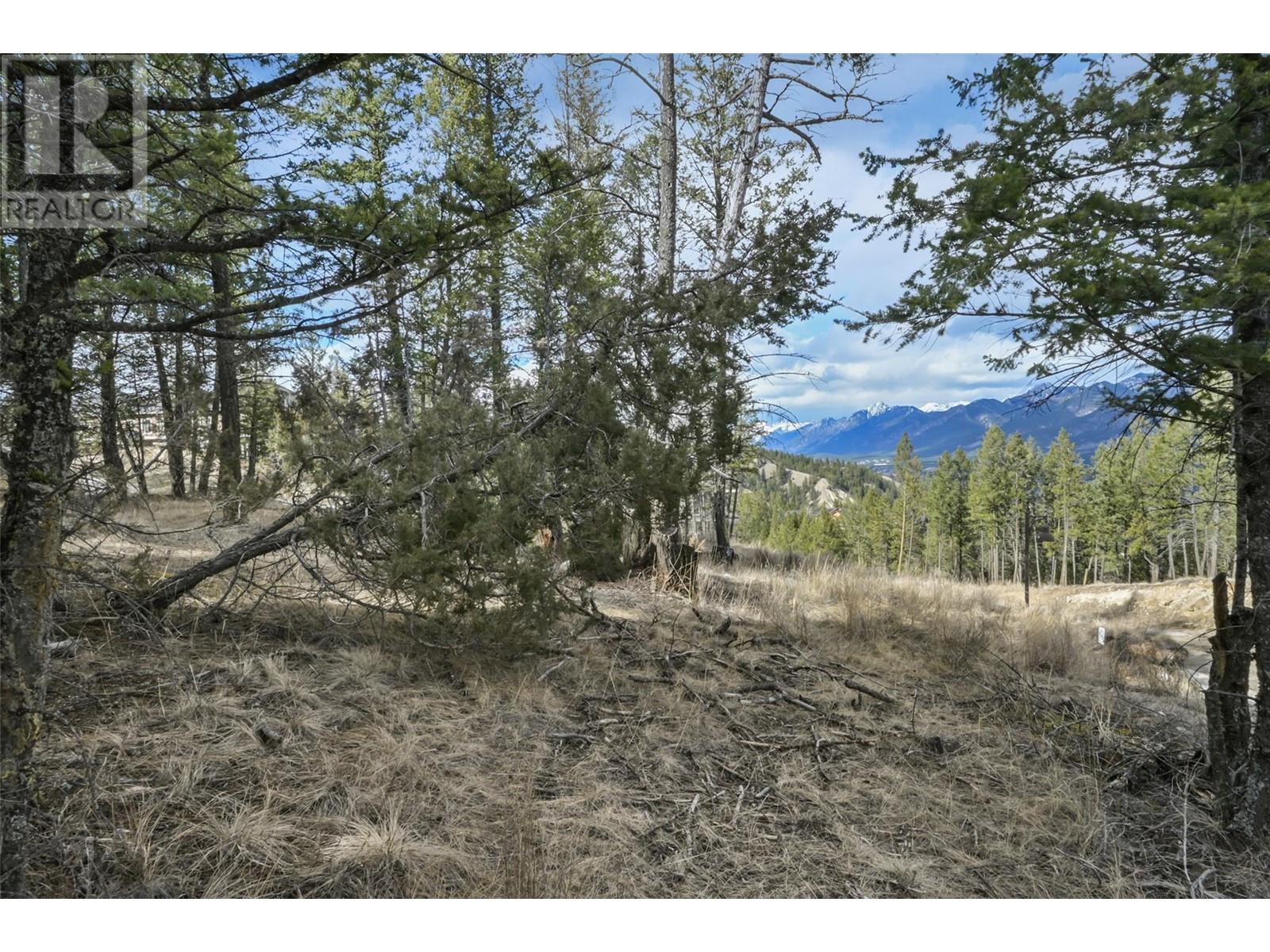 Lot 49 Pine Ridge Mountain Place Property Photo 5