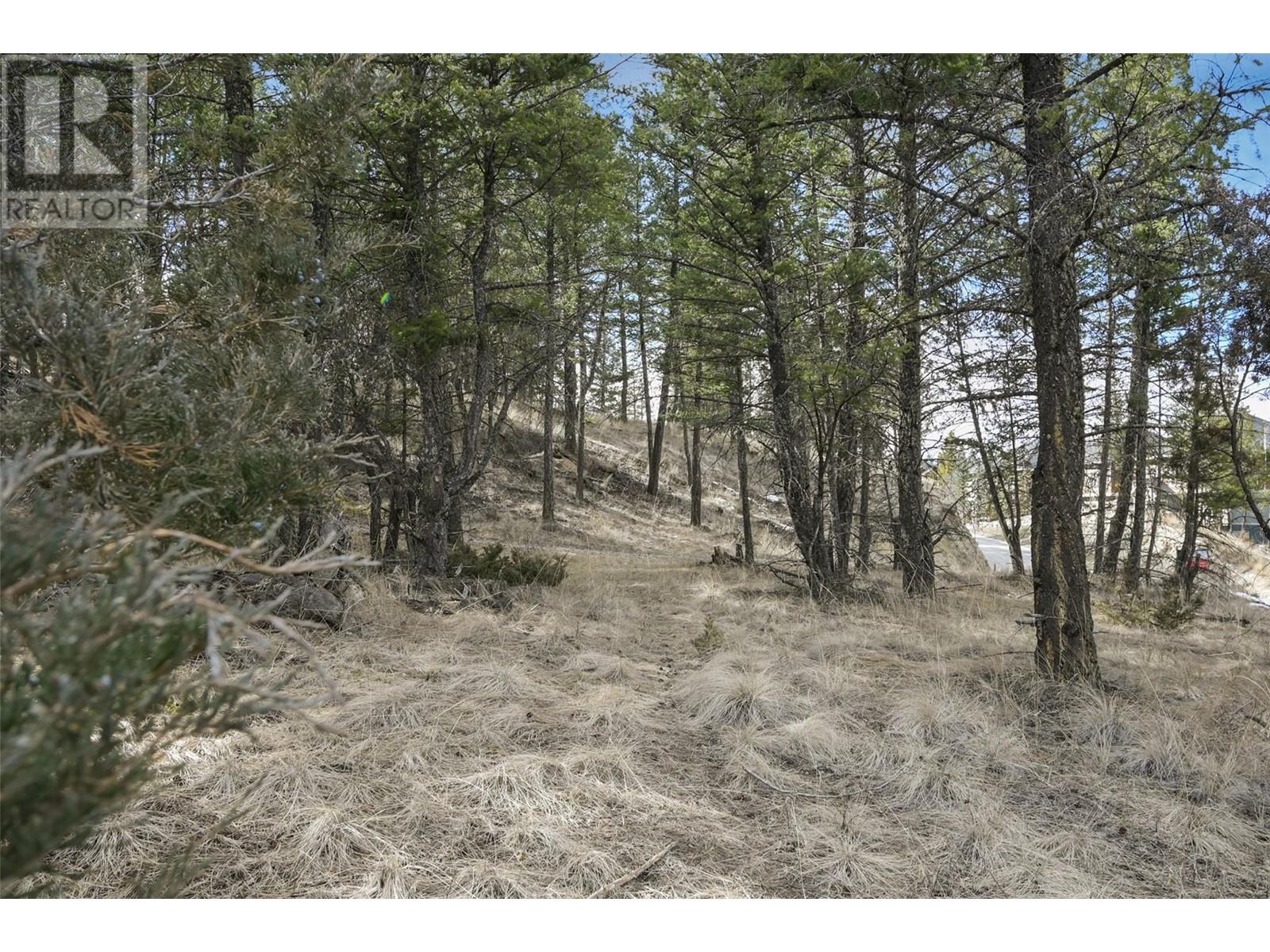 Lot 49 Pine Ridge Mountain Place Property Photo 6