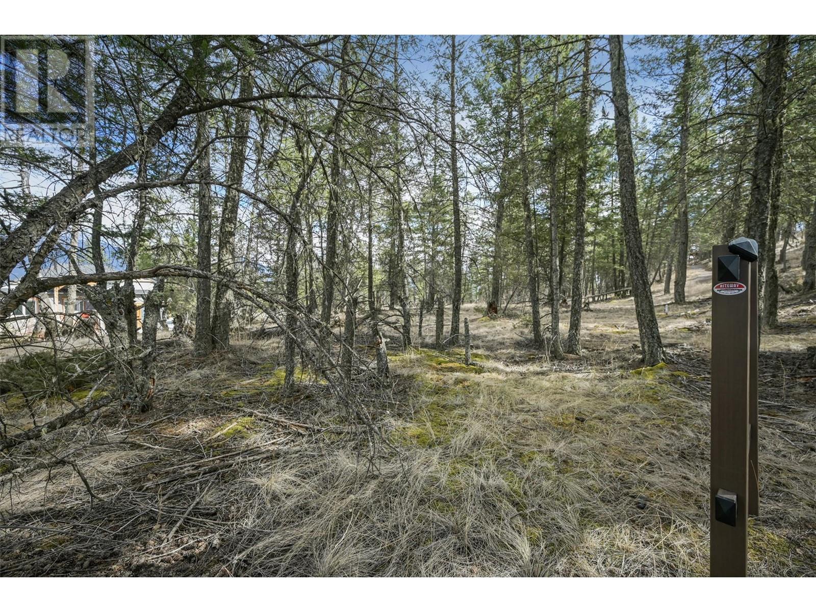 Lot 49 Pine Ridge Mountain Place Property Photo 8