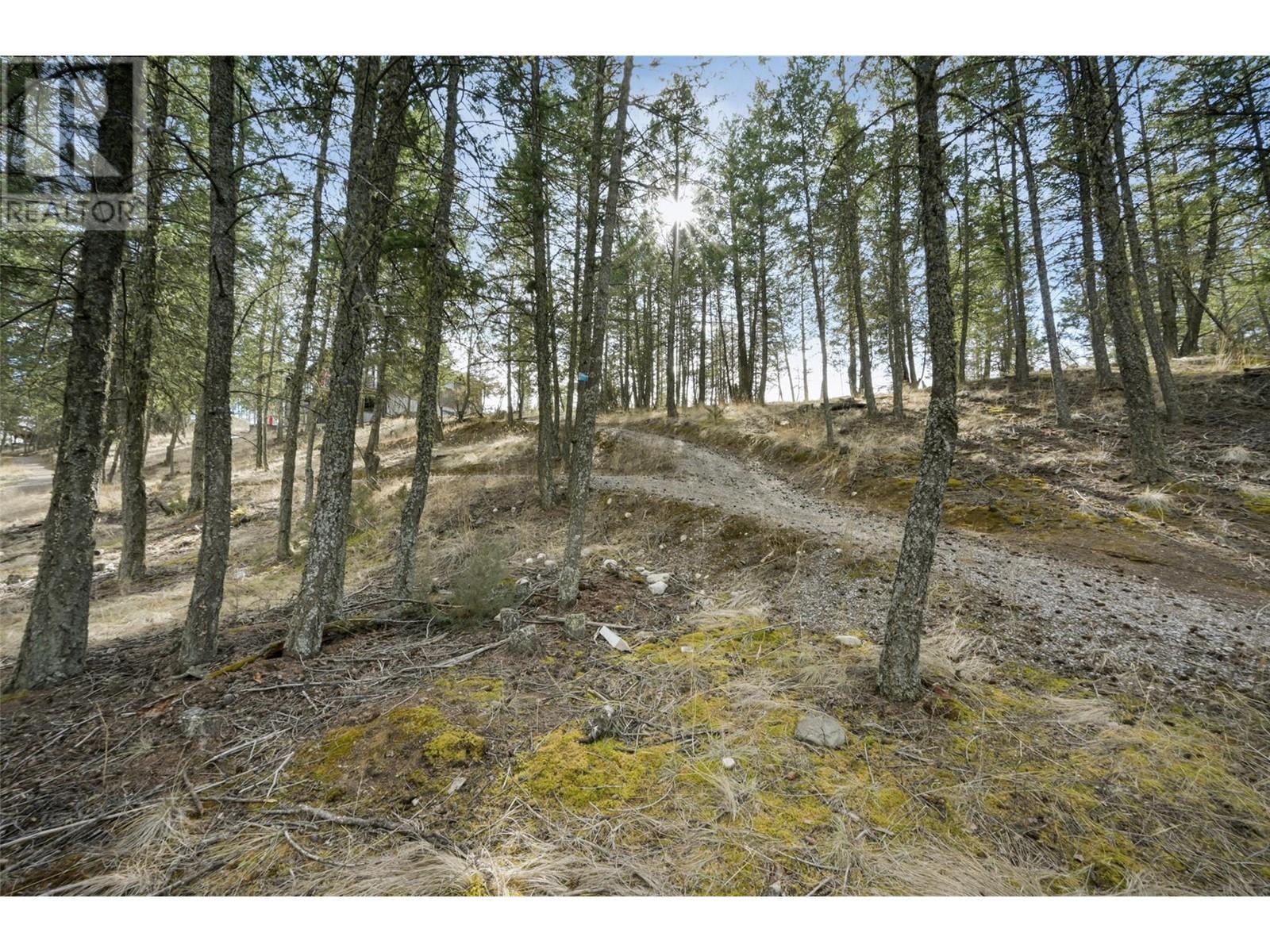 Lot 49 Pine Ridge Mountain Place Property Photo 9