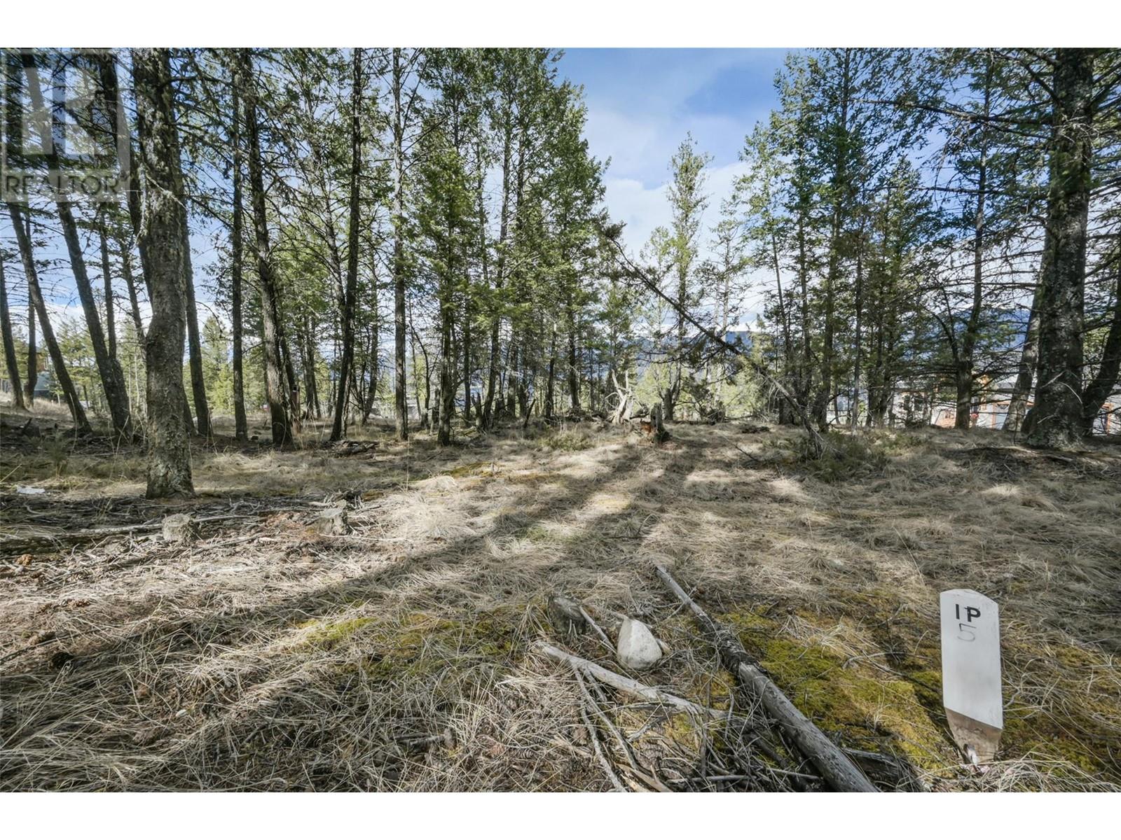 Lot 49 Pine Ridge Mountain Place Property Photo 10
