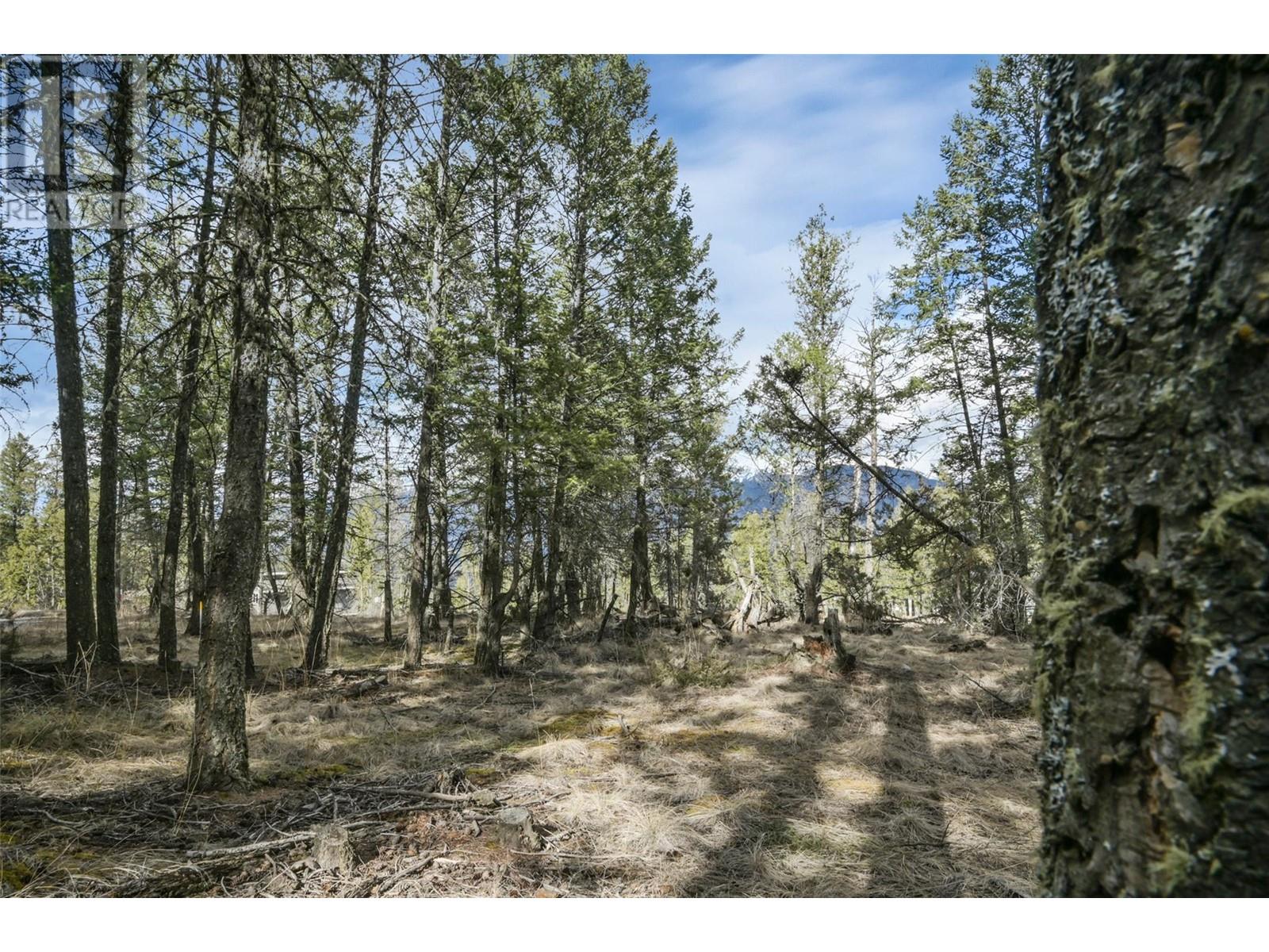 Lot 49 Pine Ridge Mountain Place Property Photo 11