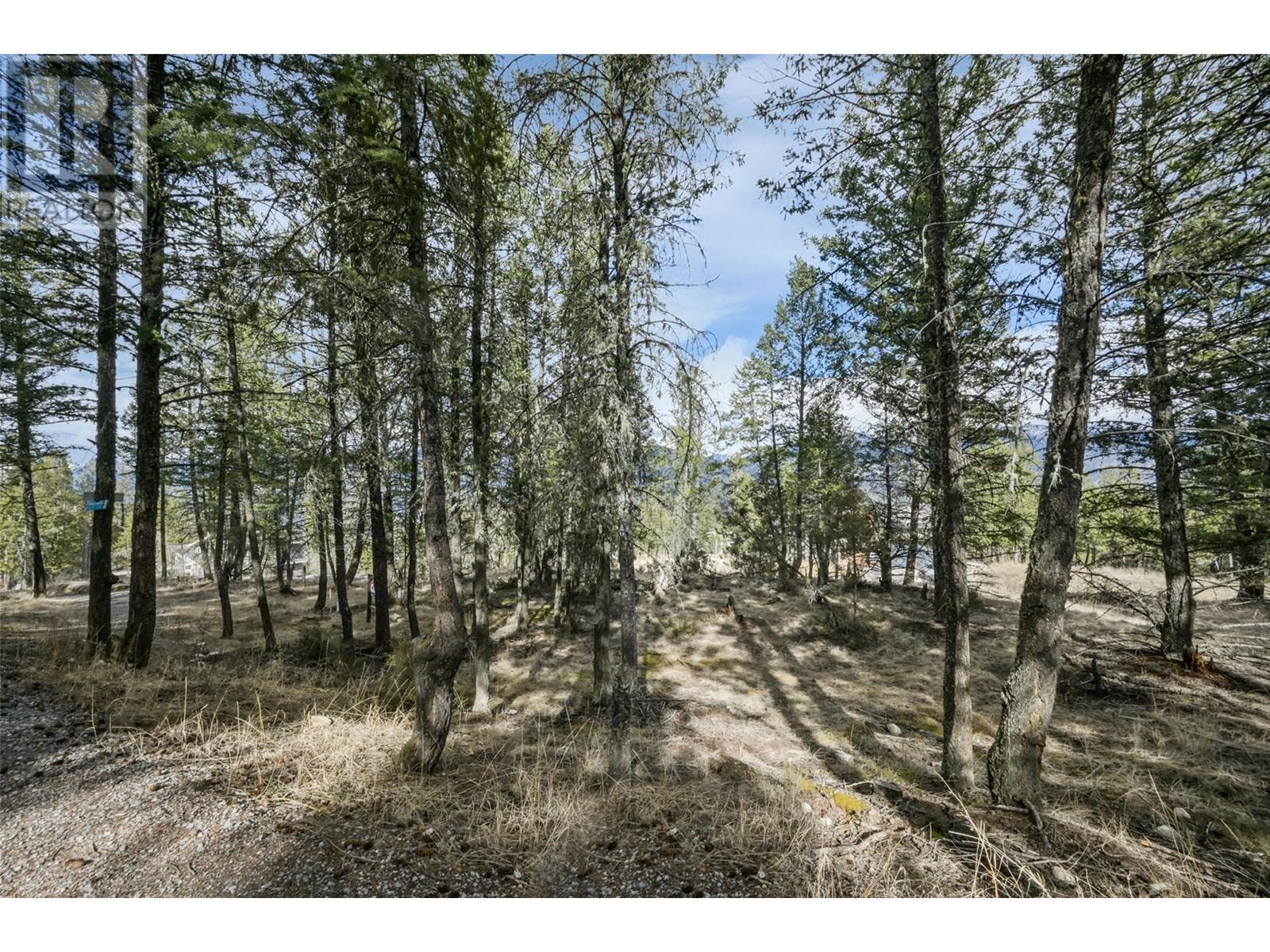 Lot 49 Pine Ridge Mountain Place Property Photo 12