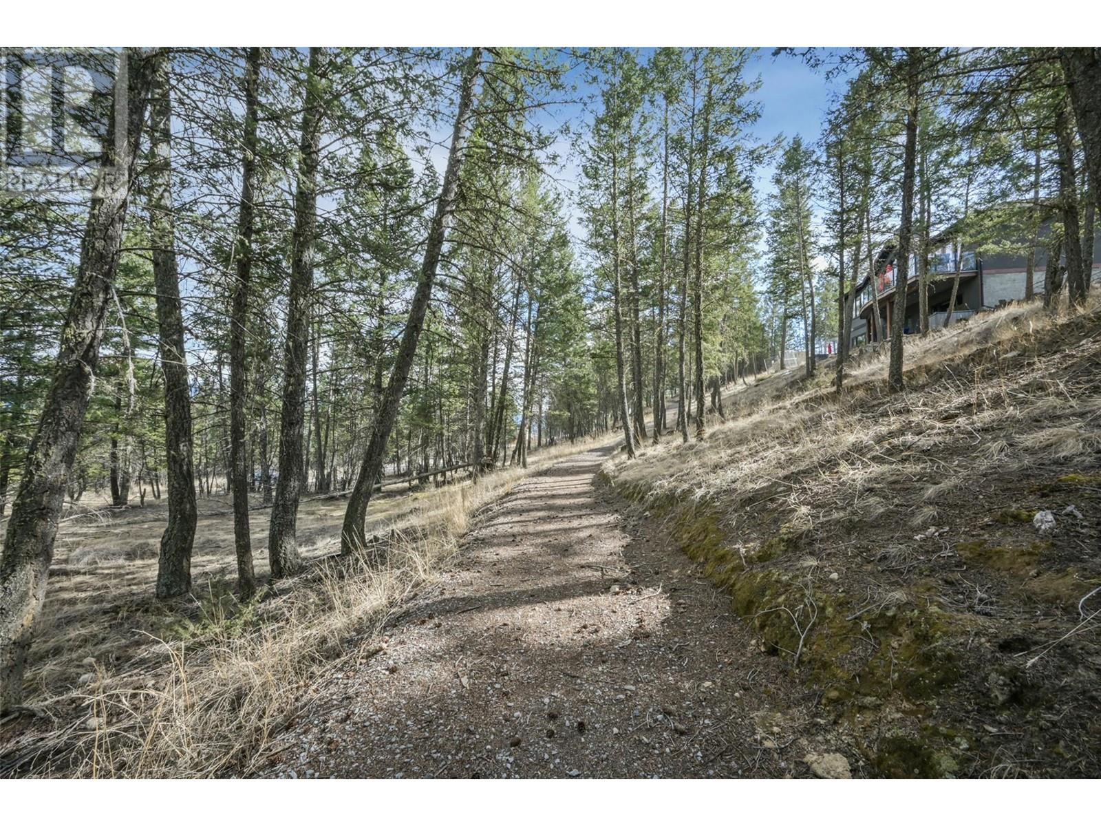 Lot 49 Pine Ridge Mountain Place Property Photo 13