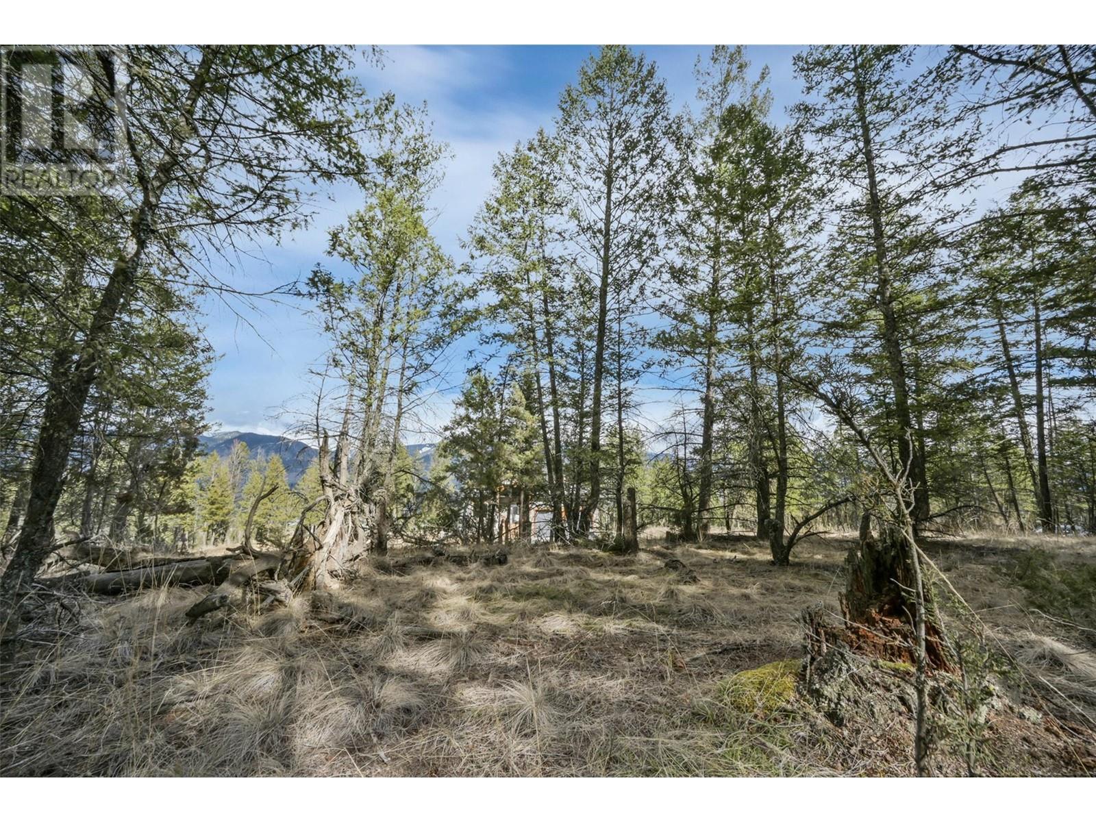 Lot 49 Pine Ridge Mountain Place Property Photo 14
